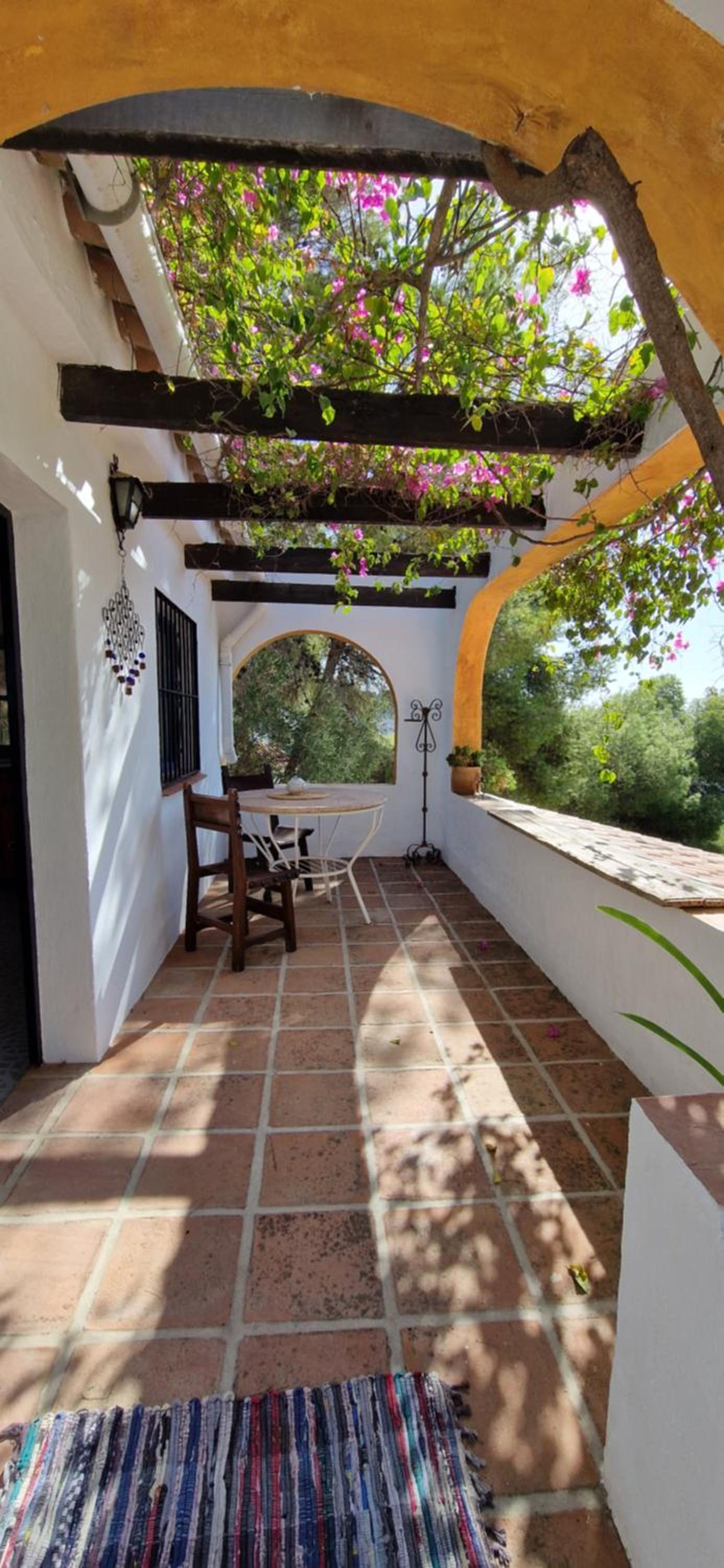 Casa Surrender
