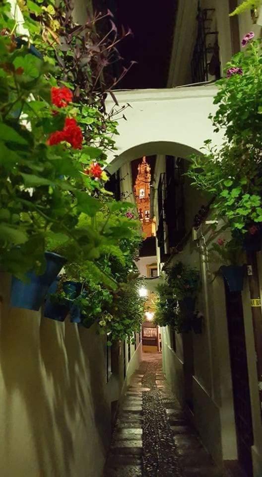 Tu casa en Córdoba fácil aparcamiento