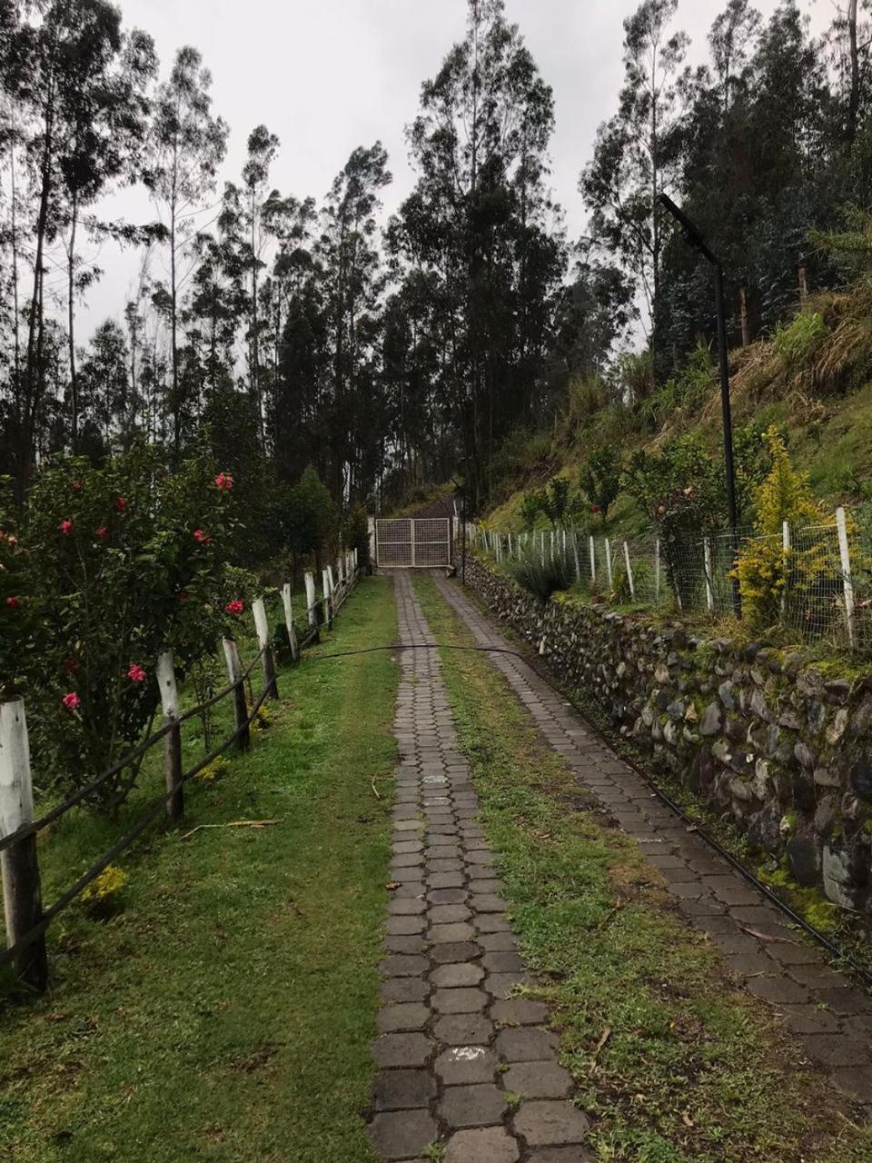 Quinta Verde Limón