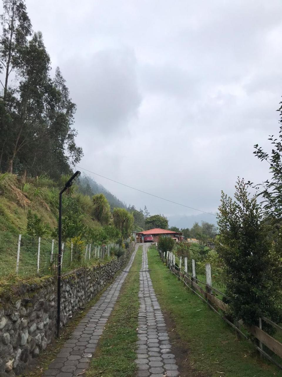 Quinta Verde Limón