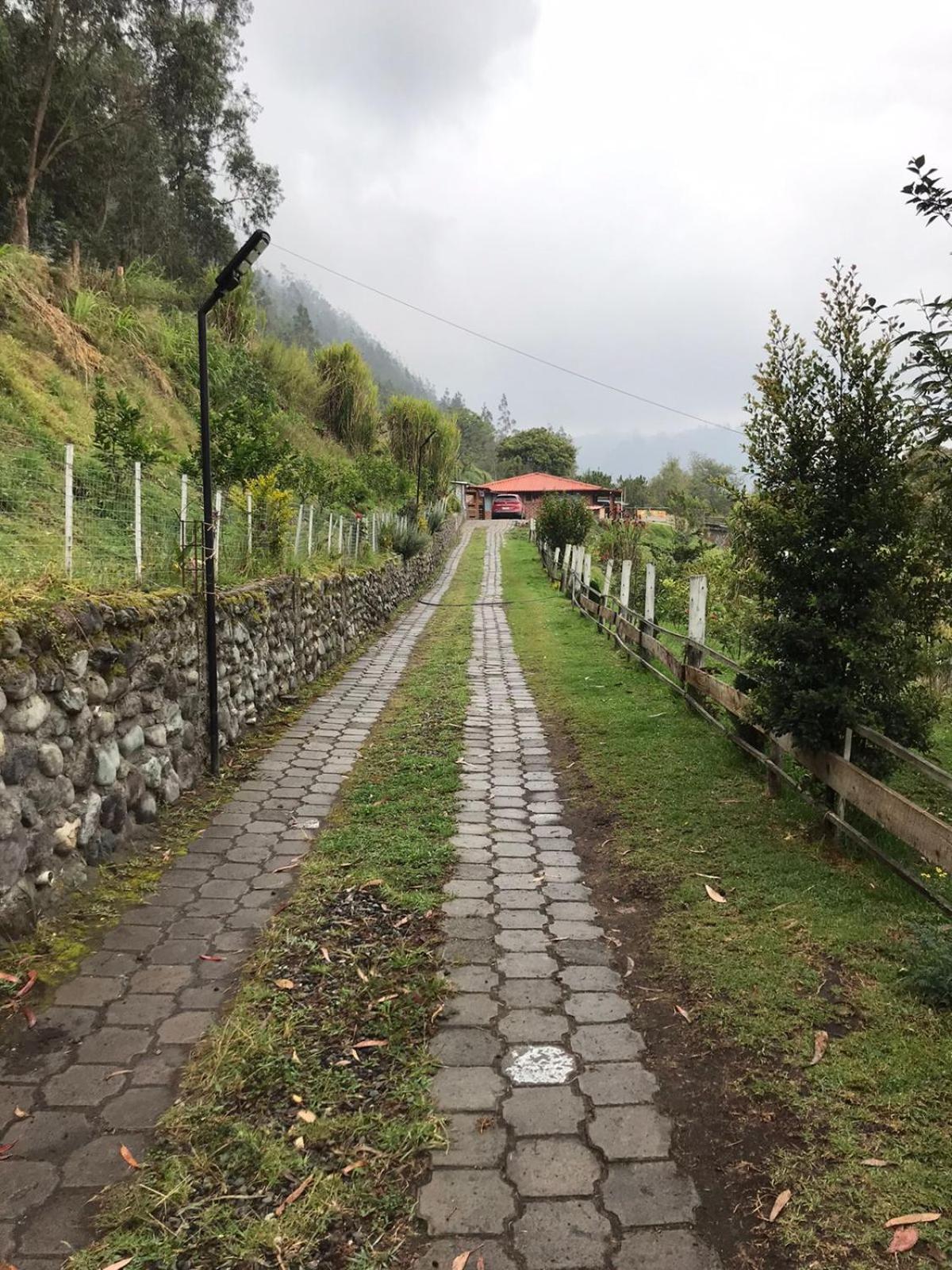 Quinta Verde Limón