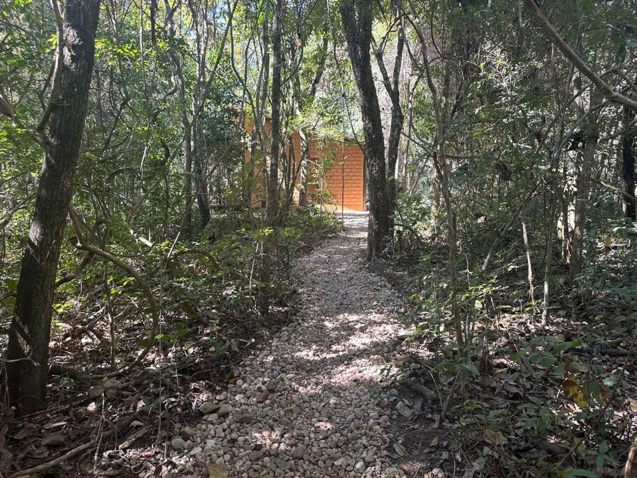 Vila Floresta, Chalé Manga Doce