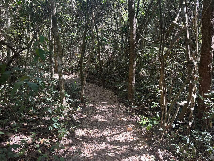 Vila Floresta, Chalé Manga Doce