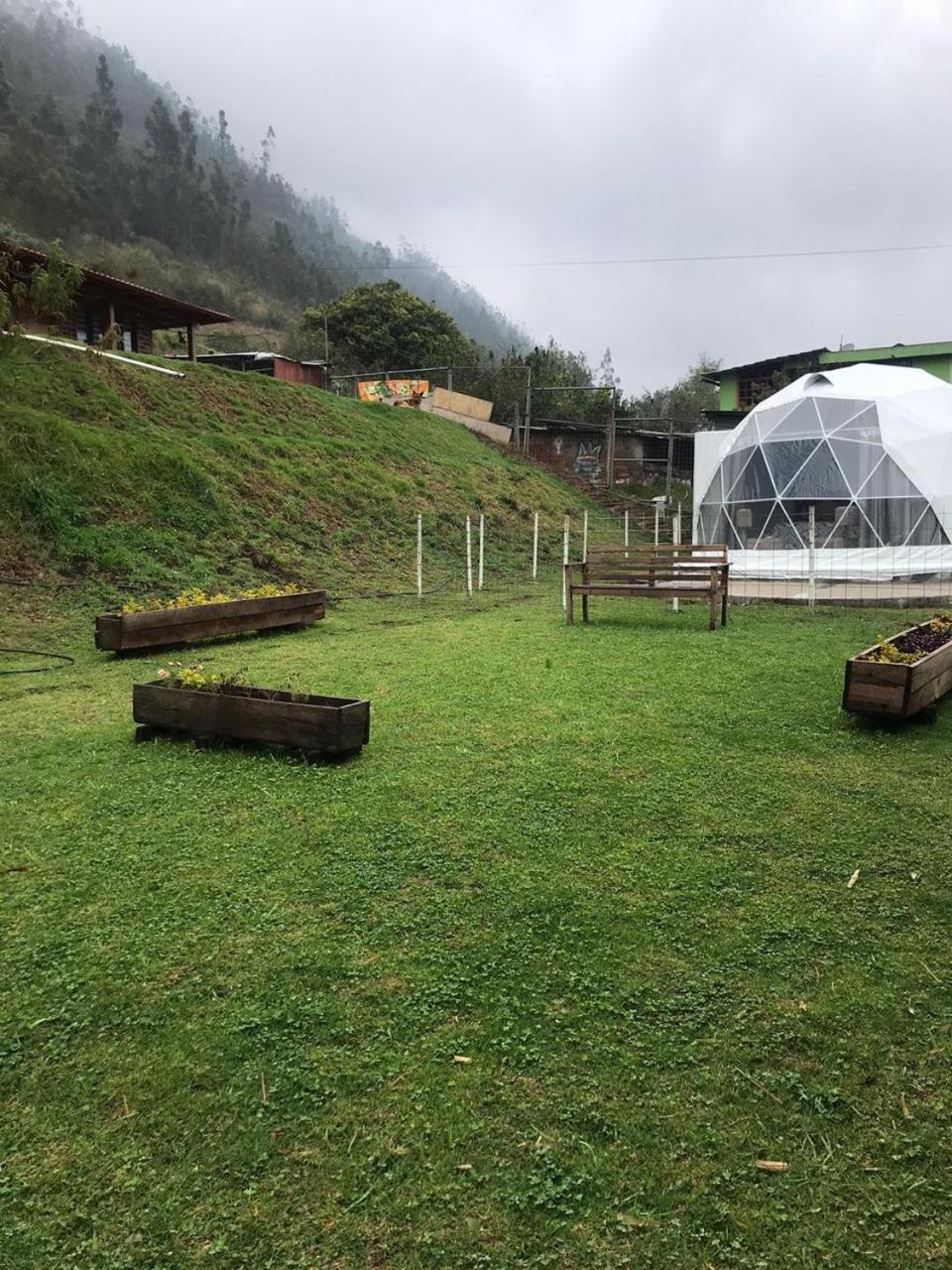Quinta Verde Limón