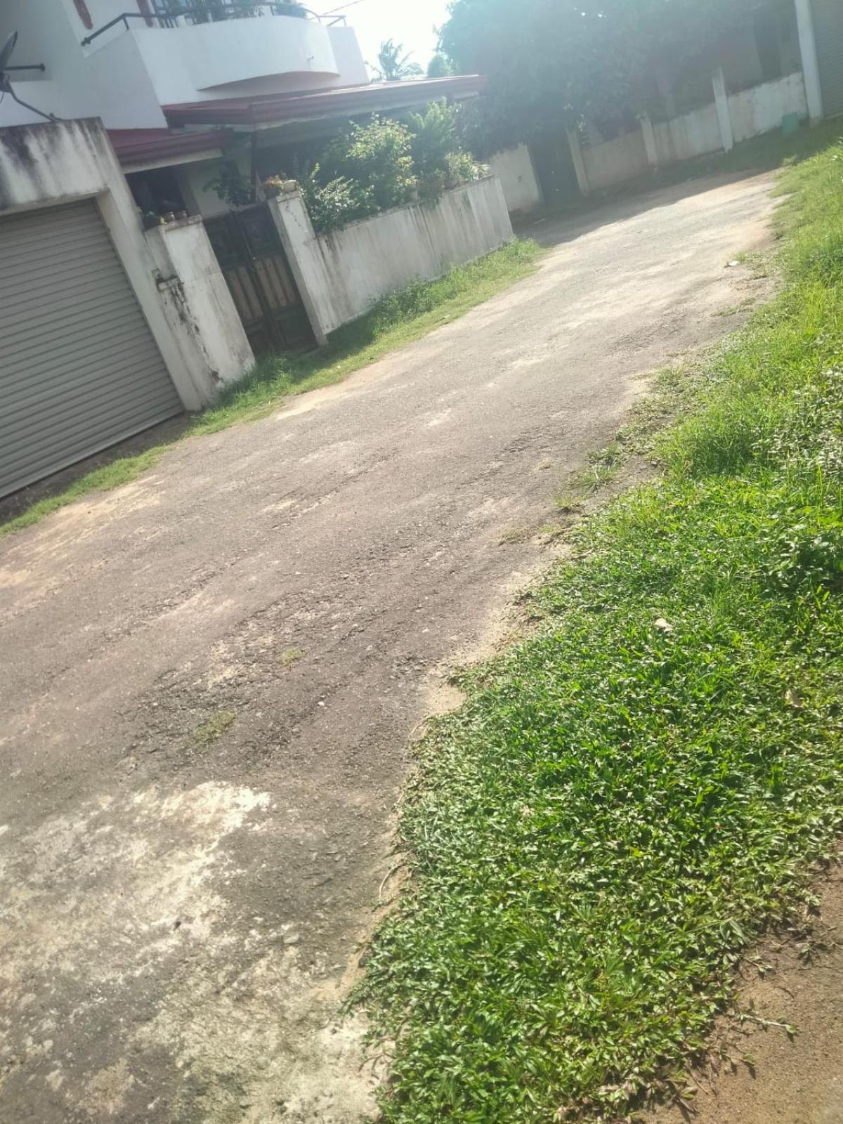 hancy homestay