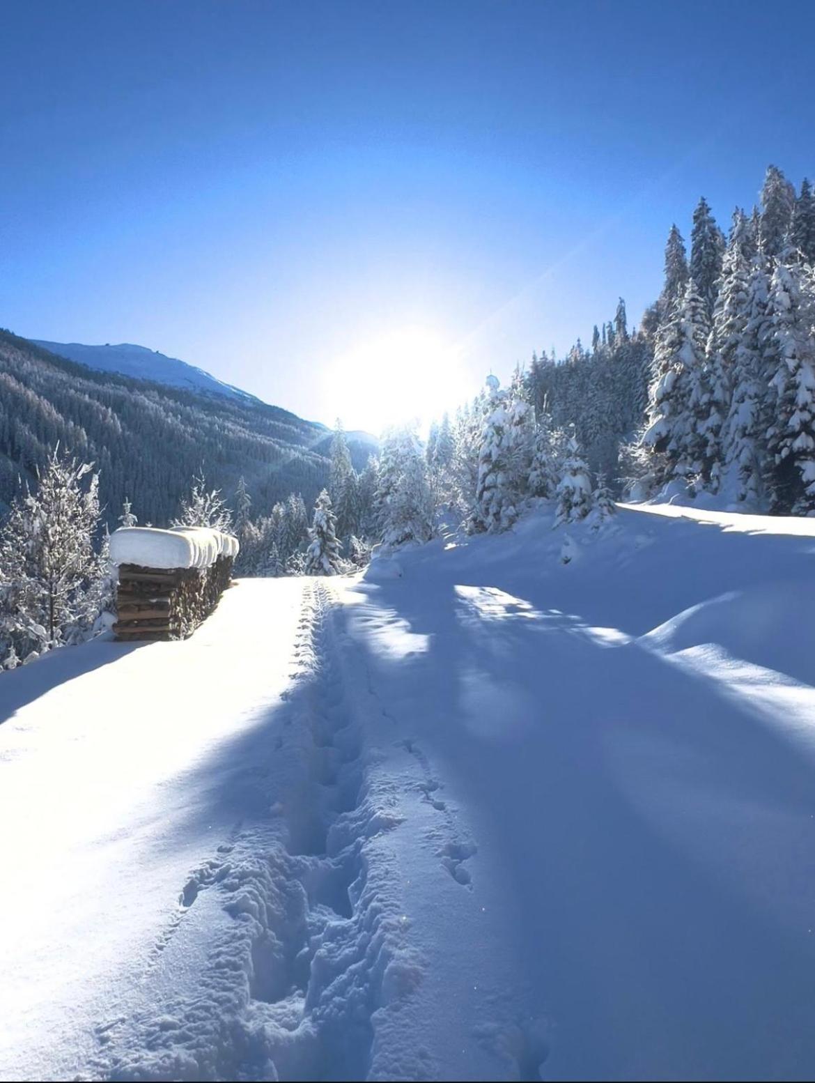 Apart Alpine Retreat 2