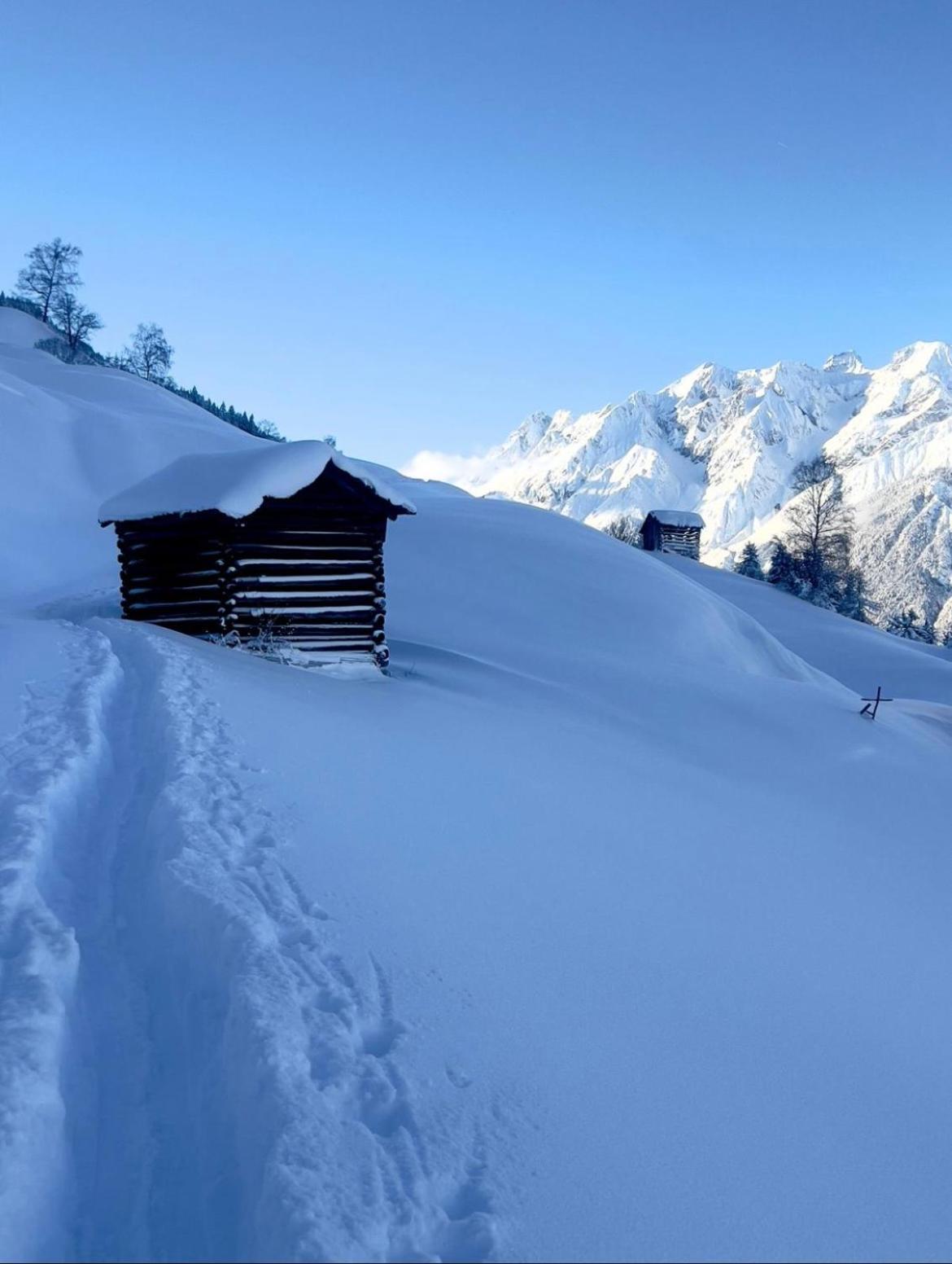 Apart Alpine Retreat 2