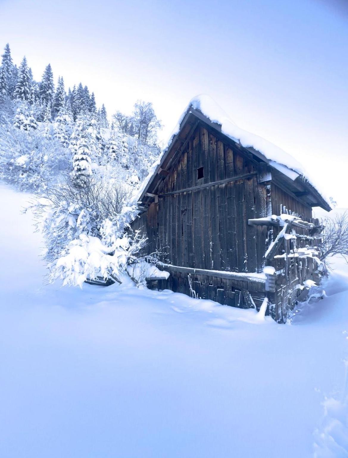 Apart Alpine Retreat 2