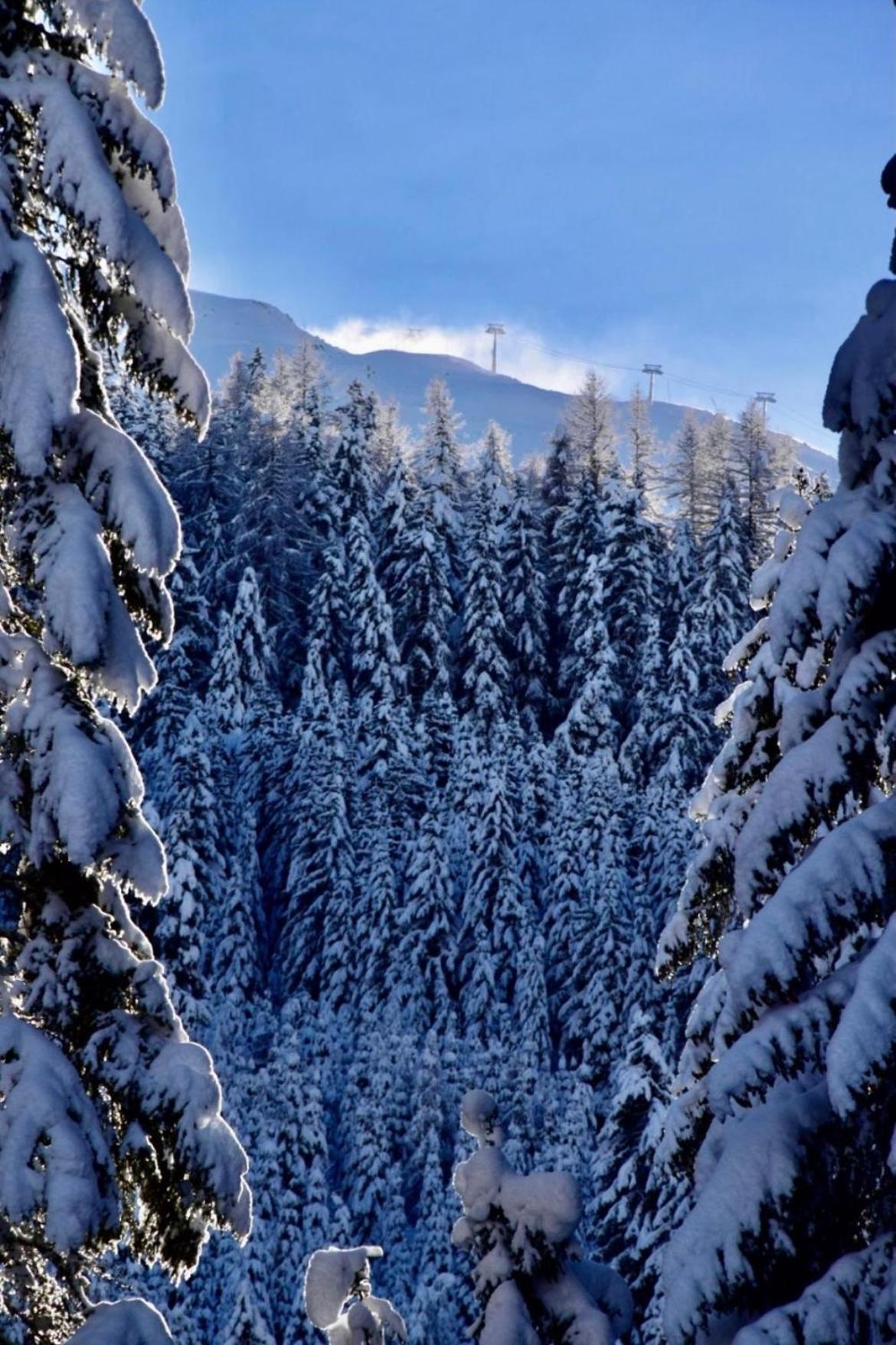 Apart Alpine Retreat 2