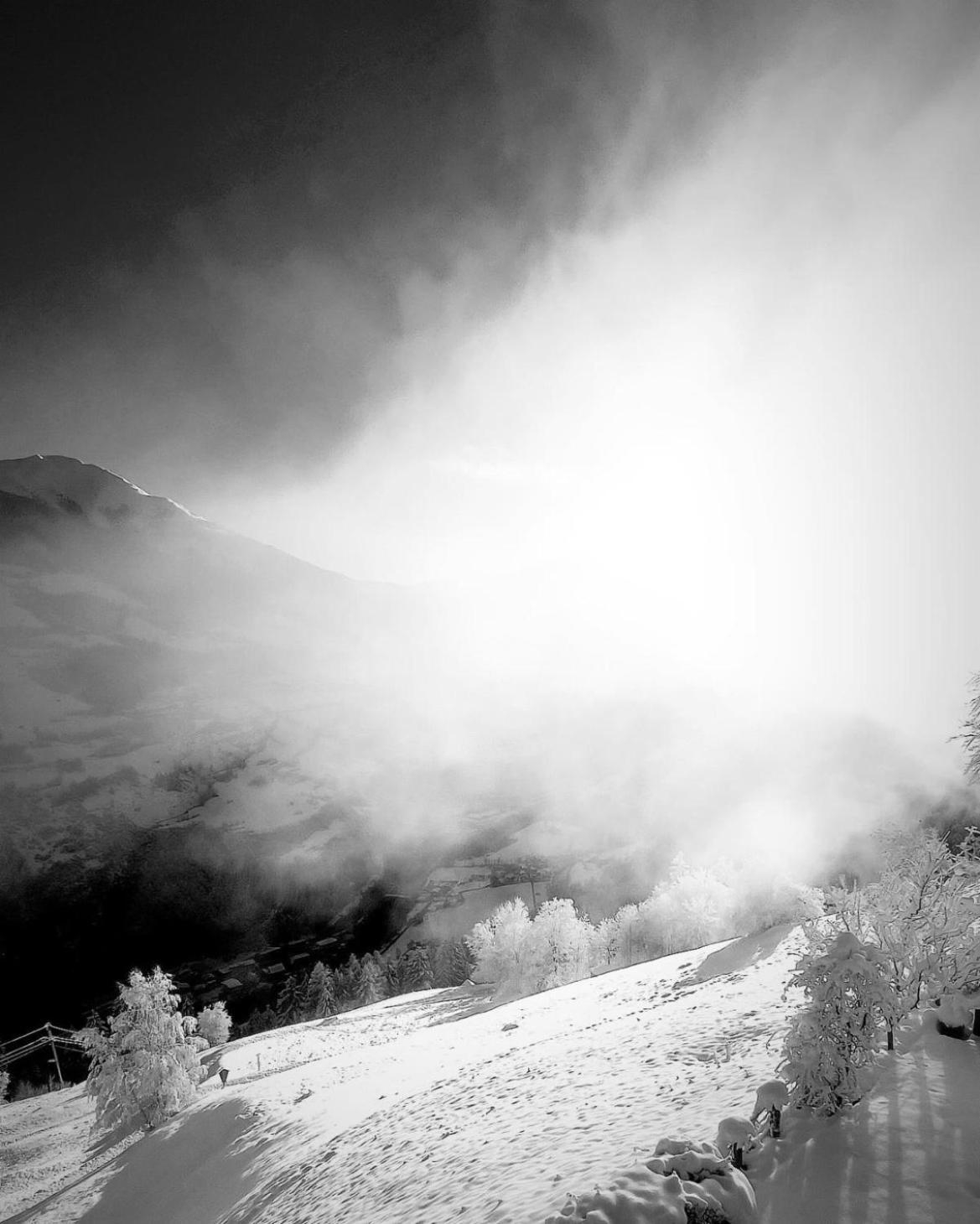 Apart Alpine Retreat 2