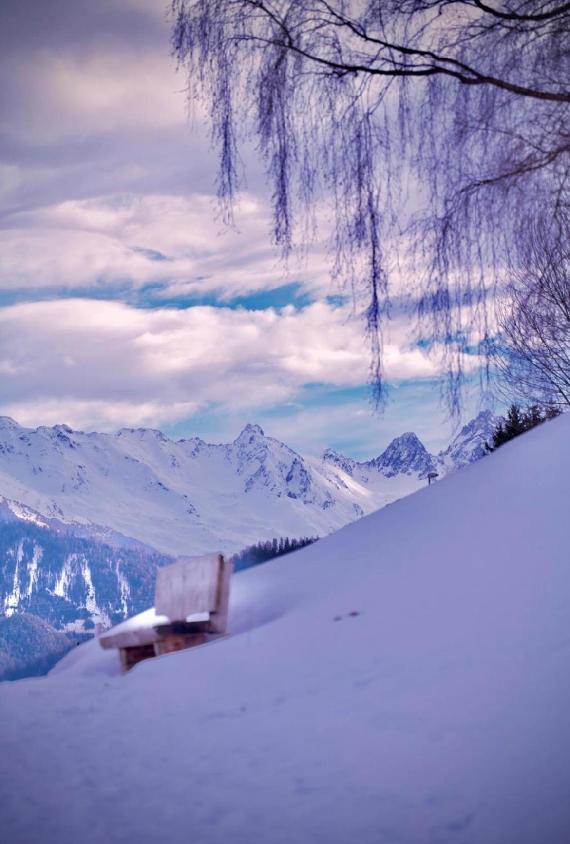 Apart Alpine Retreat 2