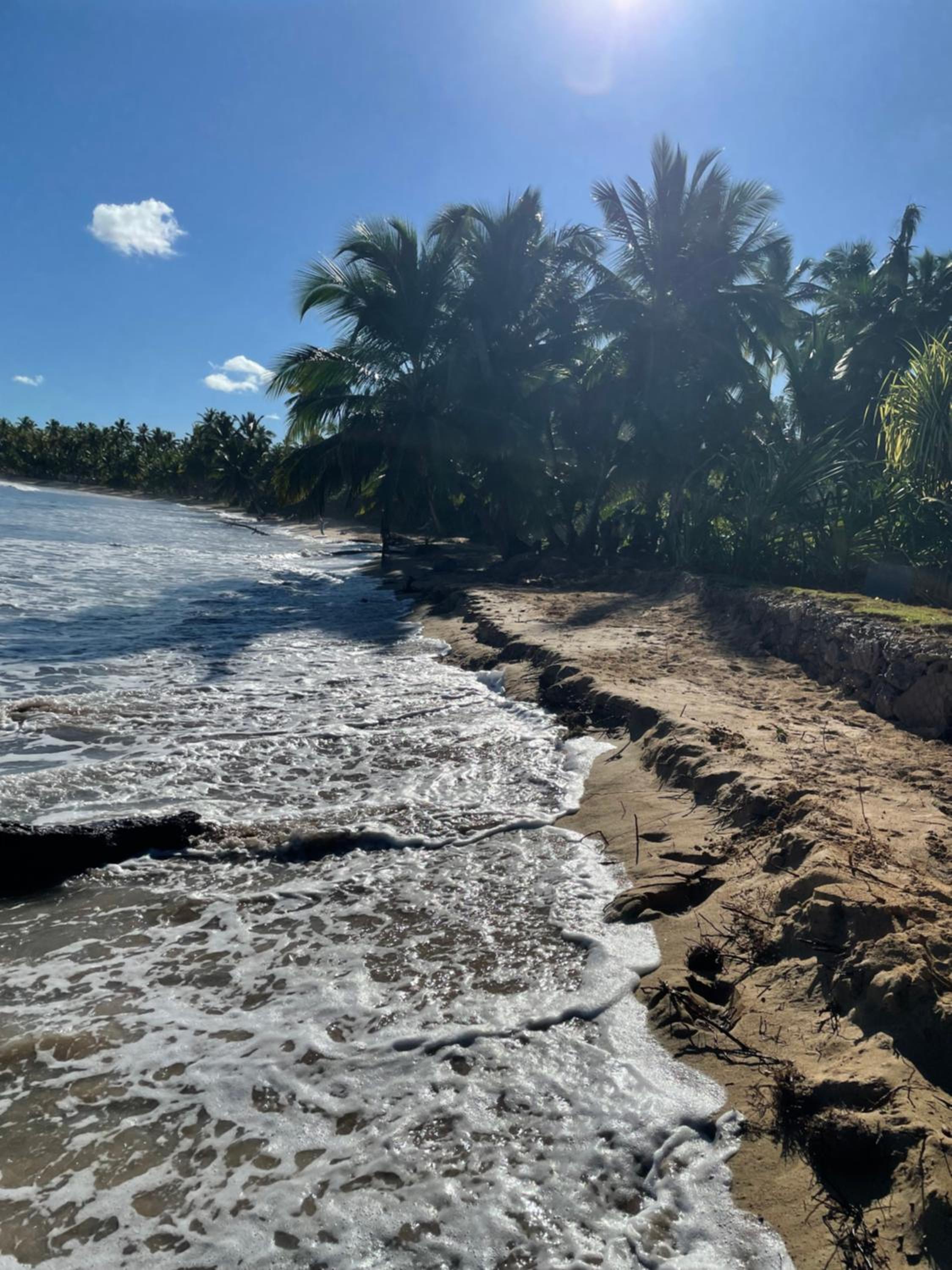 Caribbean Domicile