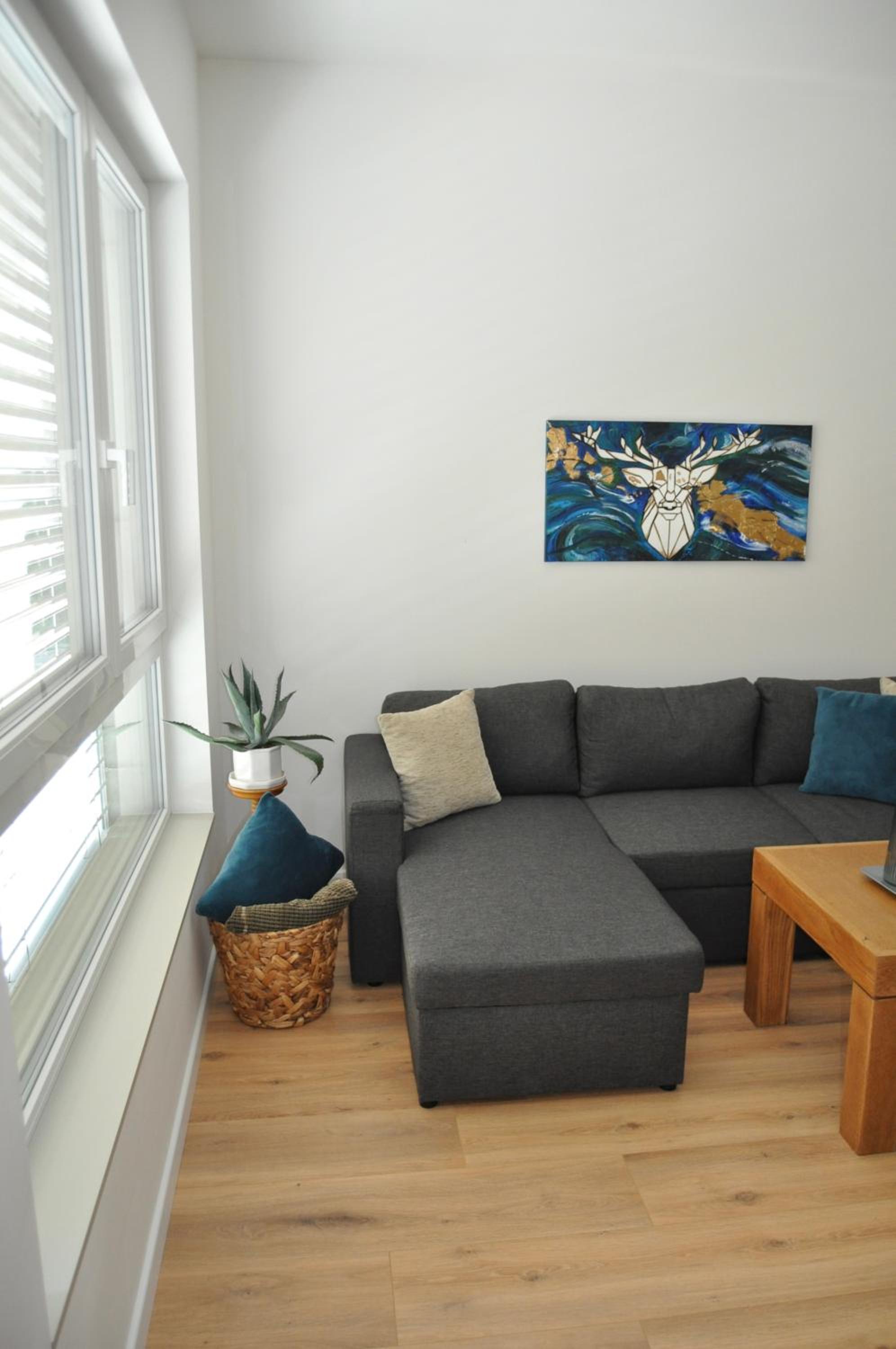 Apartman Hurbanova view 3