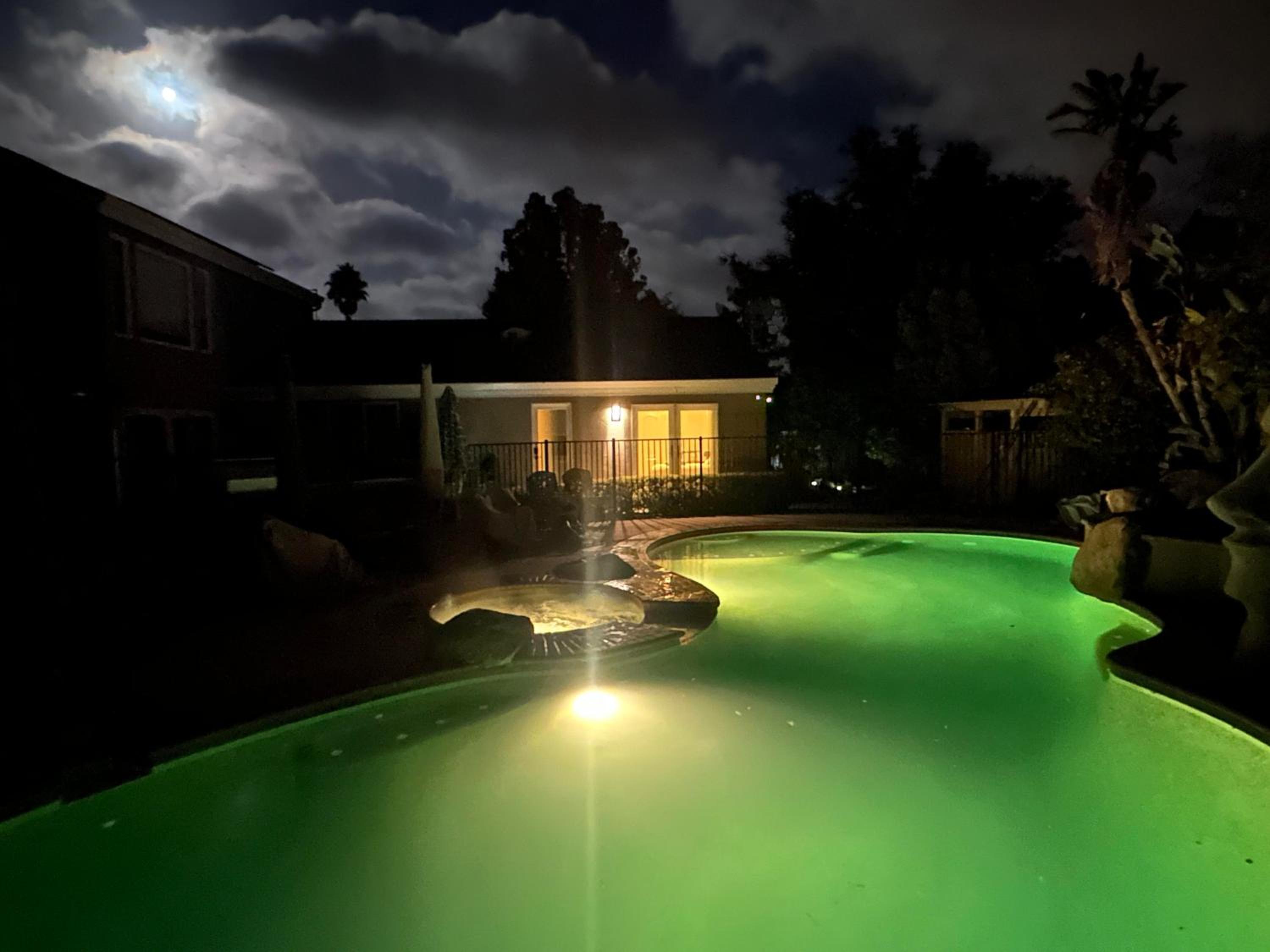 Oasis Private Entry Suite, Pool, Jacuzzi and more view 5