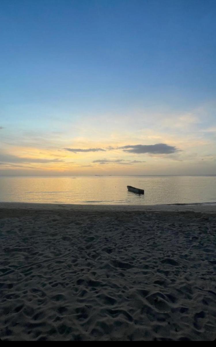 Caribbean Domicile