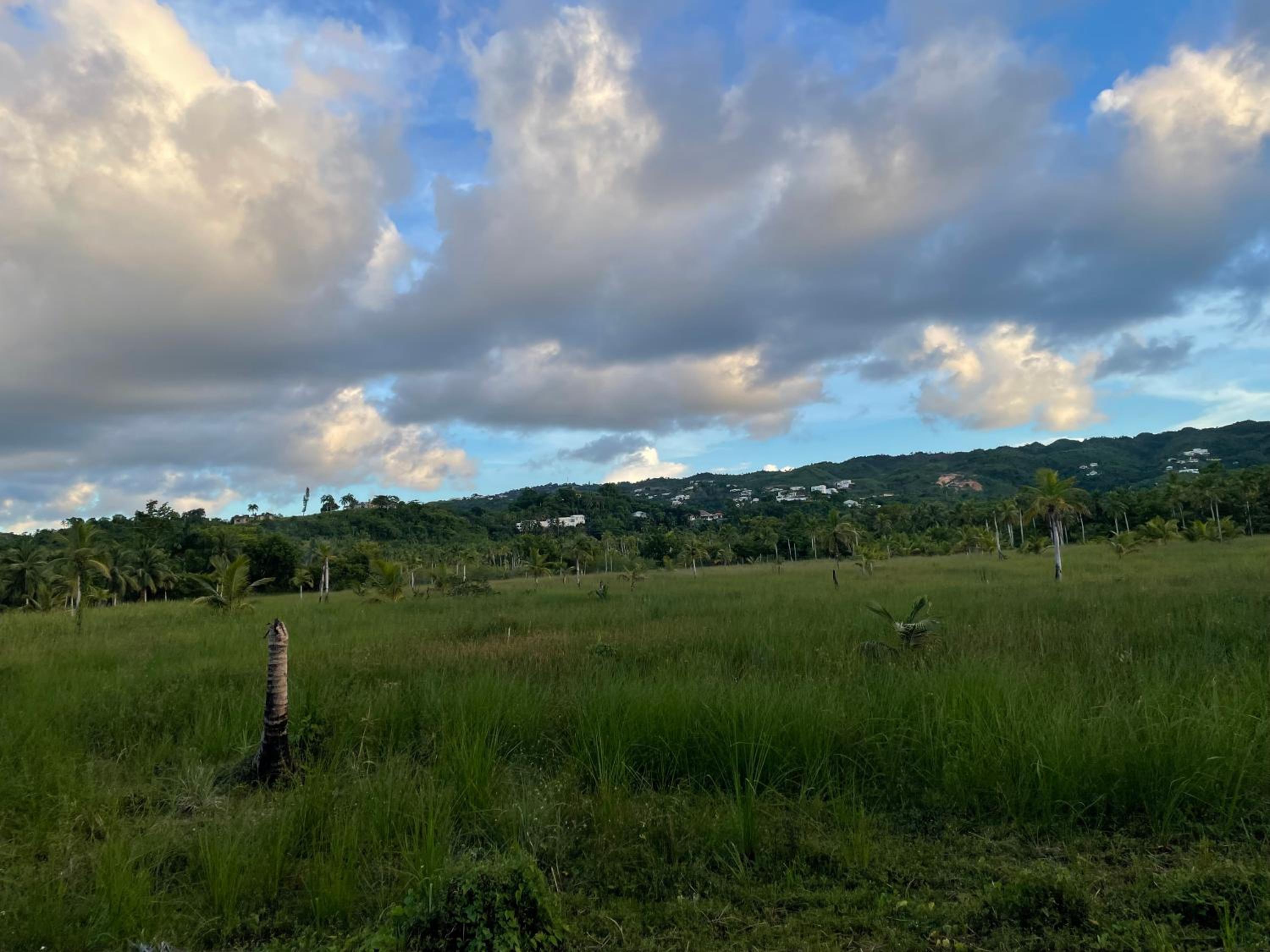 Caribbean Domicile