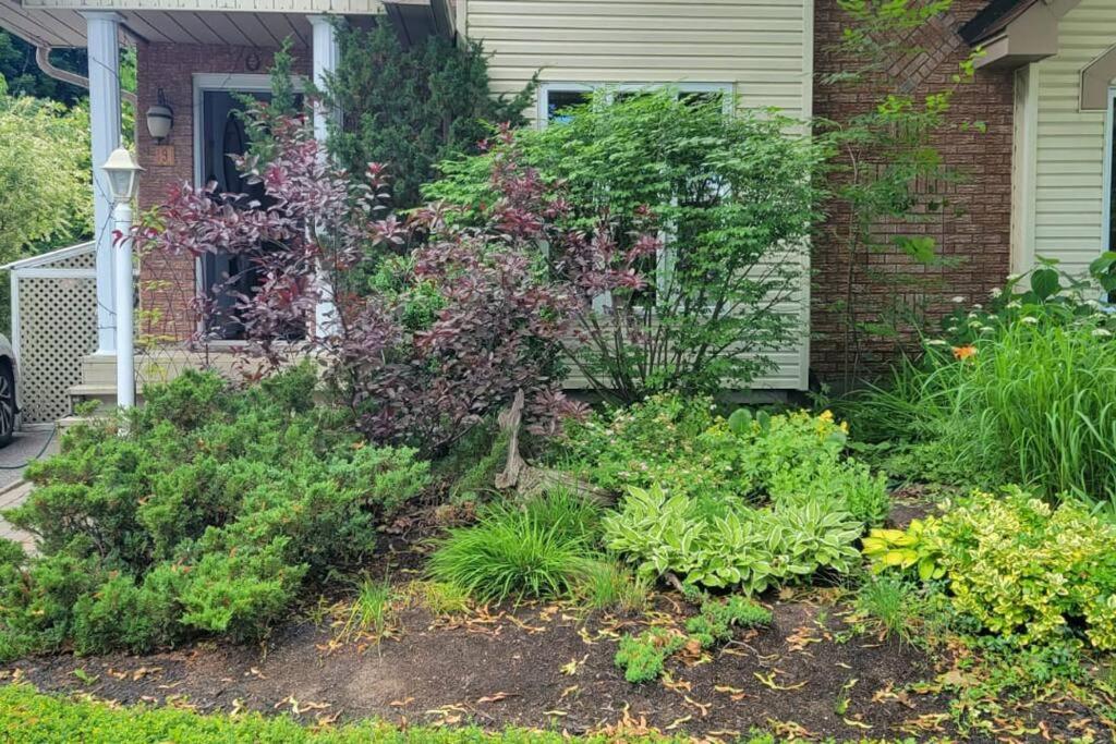 Charming 3 Bedroom House by Gatineau Park Home away from Home