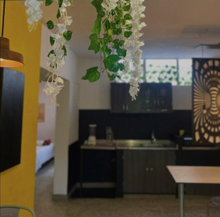 Comfortable Apartment In Laureles