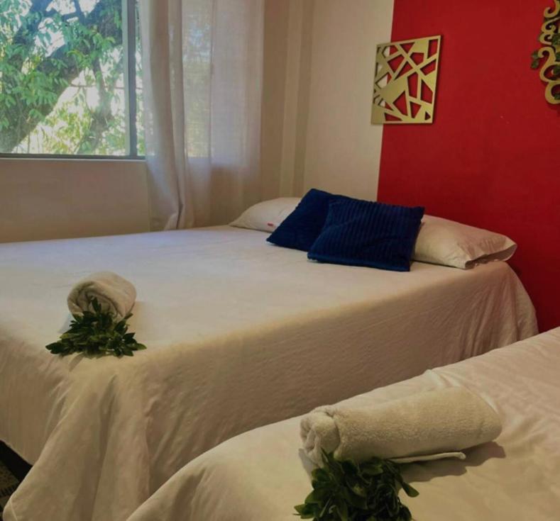 Comfortable Apartment In Laureles