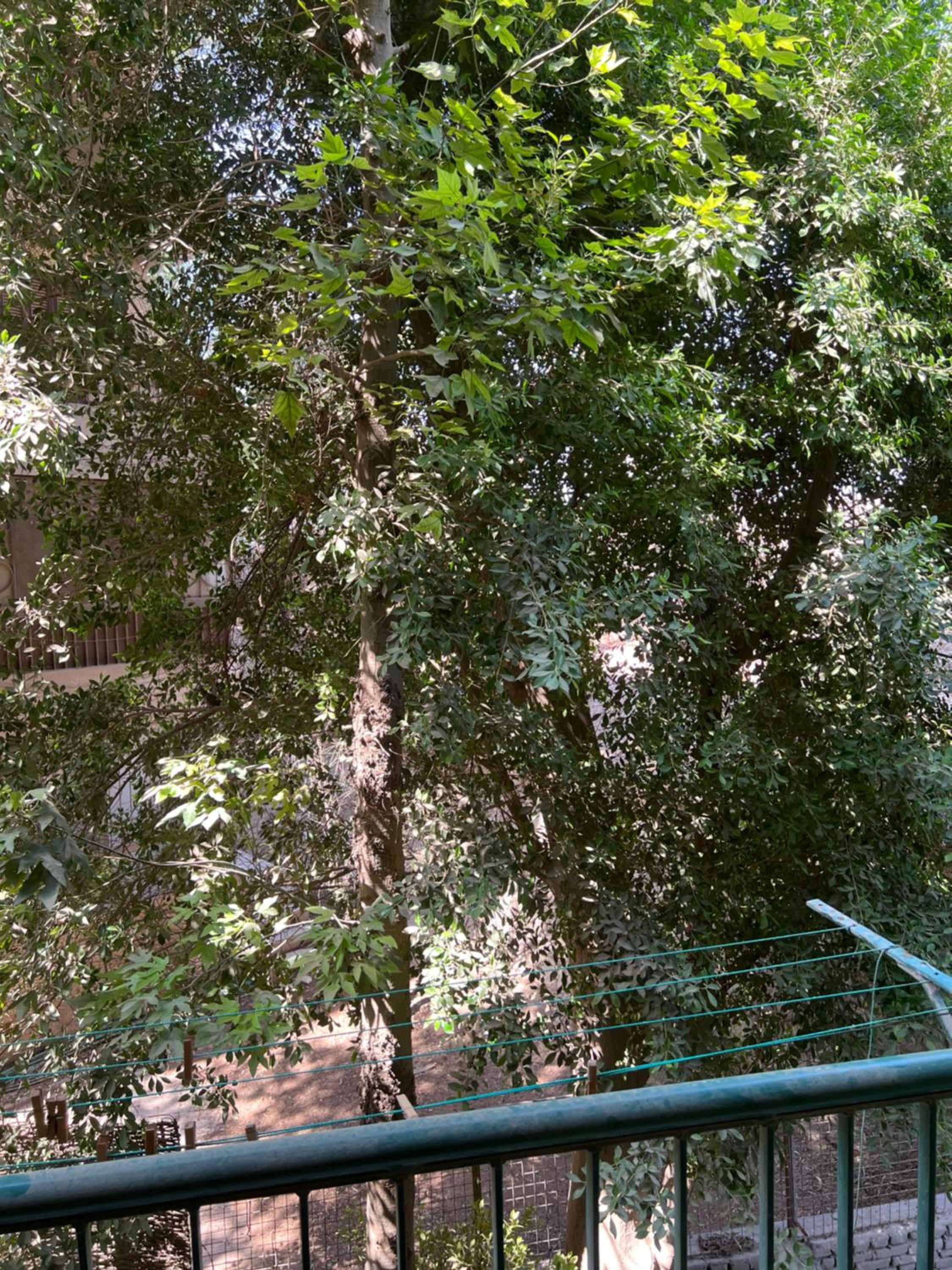 New Luxury Modern apart in Heart of Maadi Degla