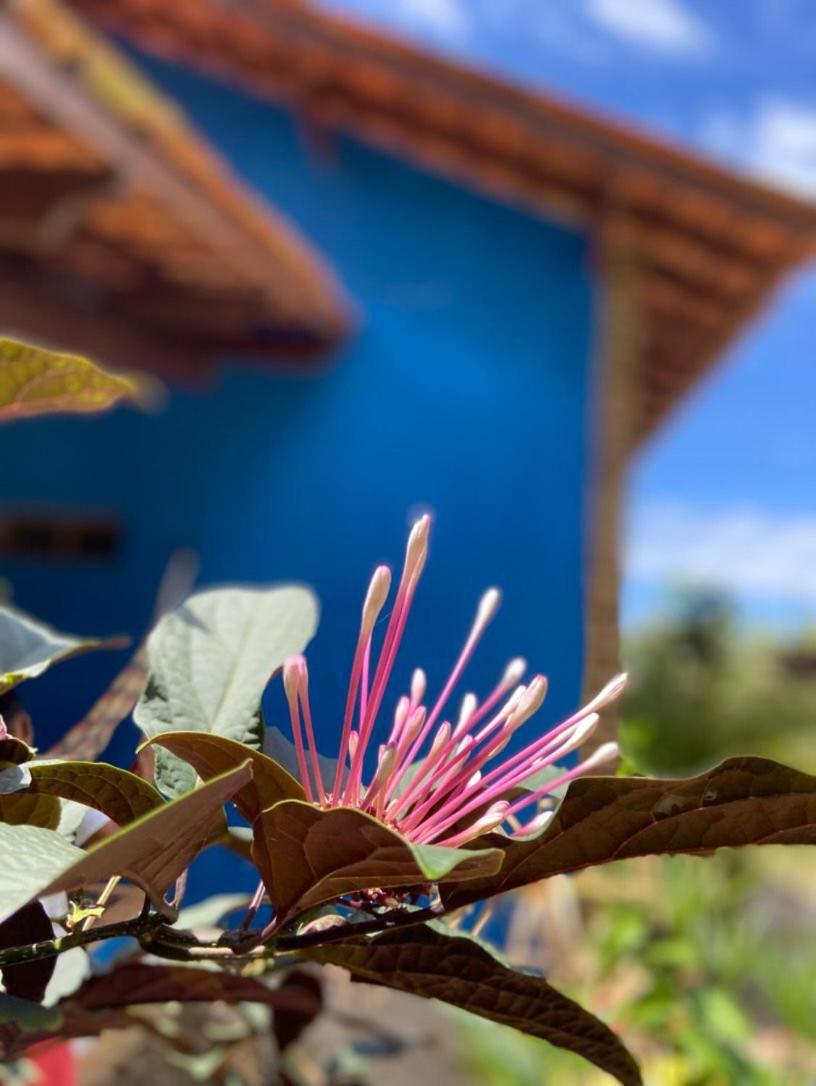 Casa nos Algodoes