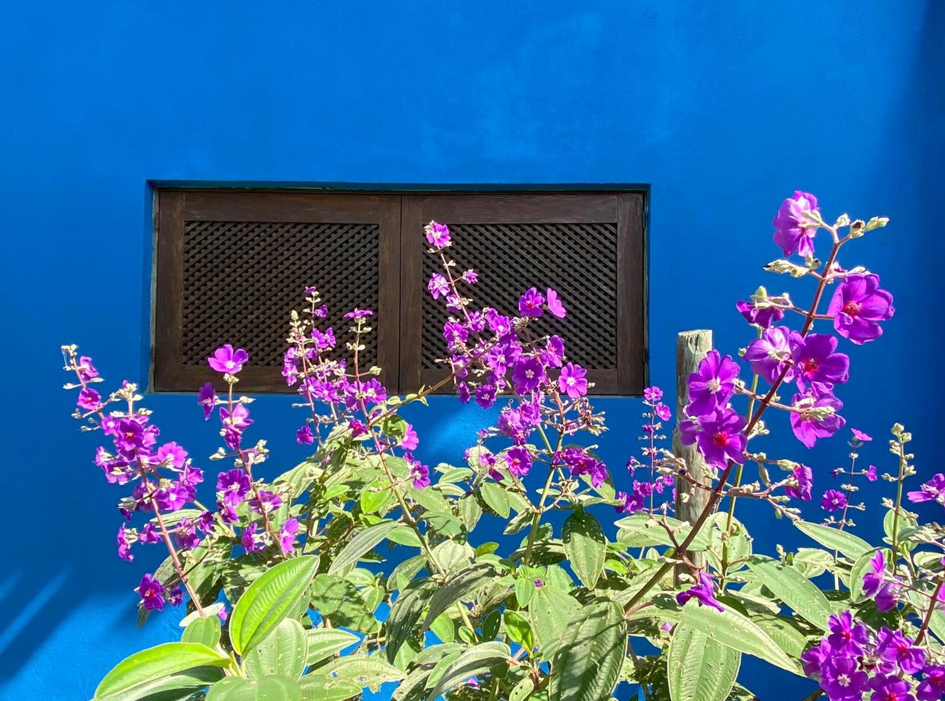 Casa nos Algodoes