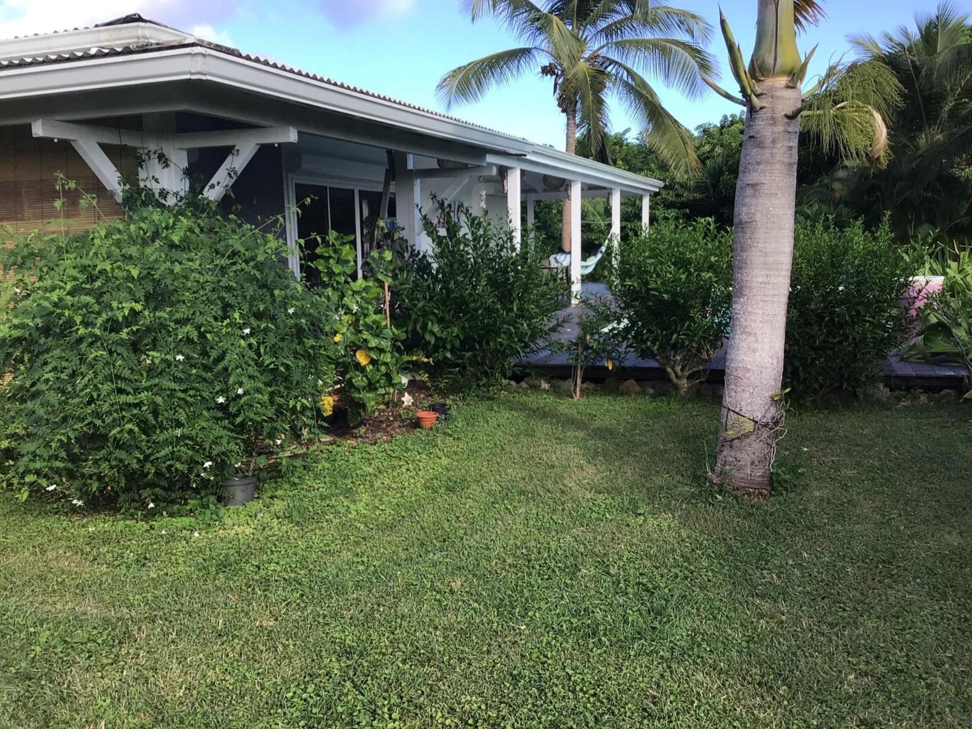 Magnifique maison avec piscine à débordement à Marie Galante view 4