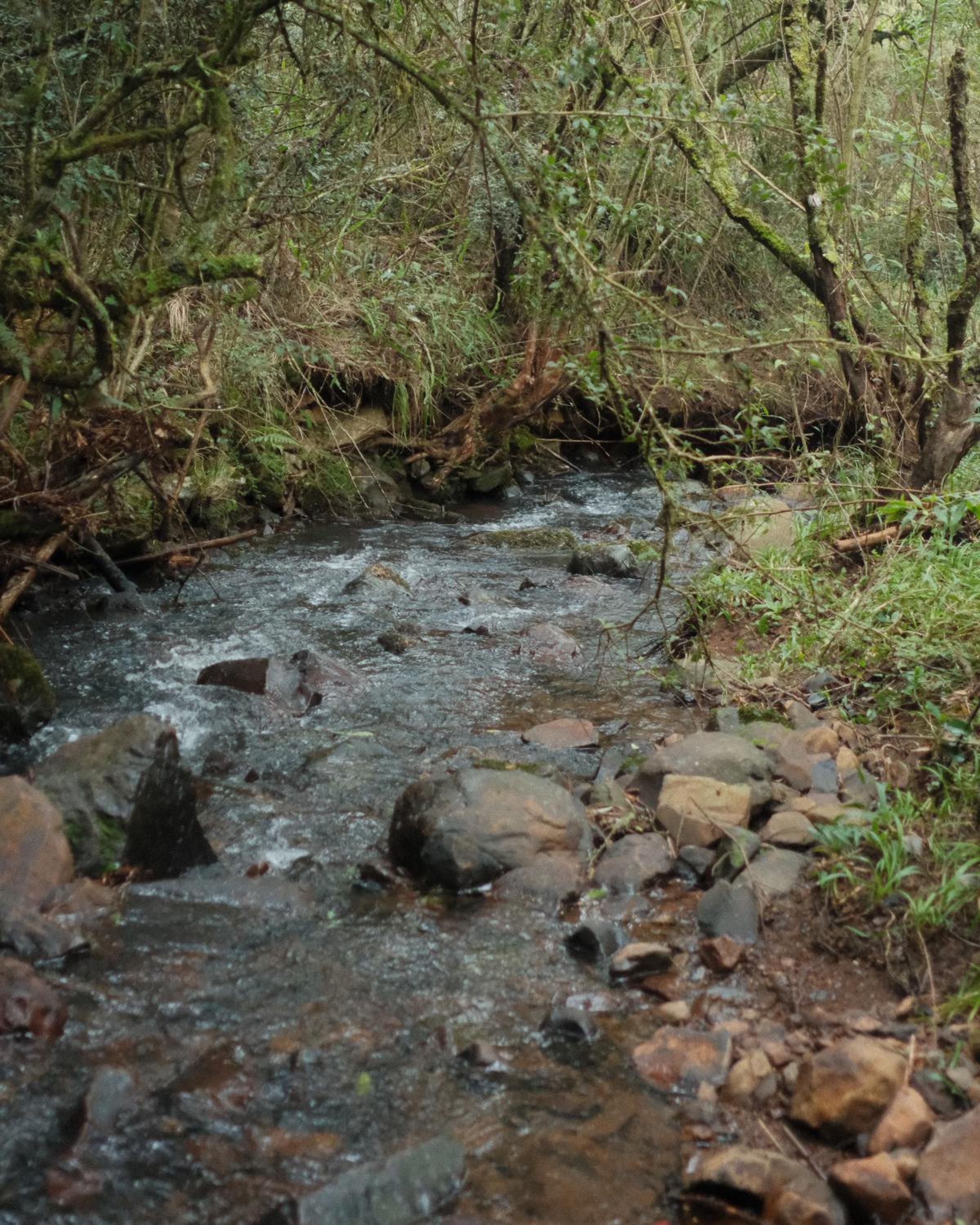 Parque Nacional EcoResort
