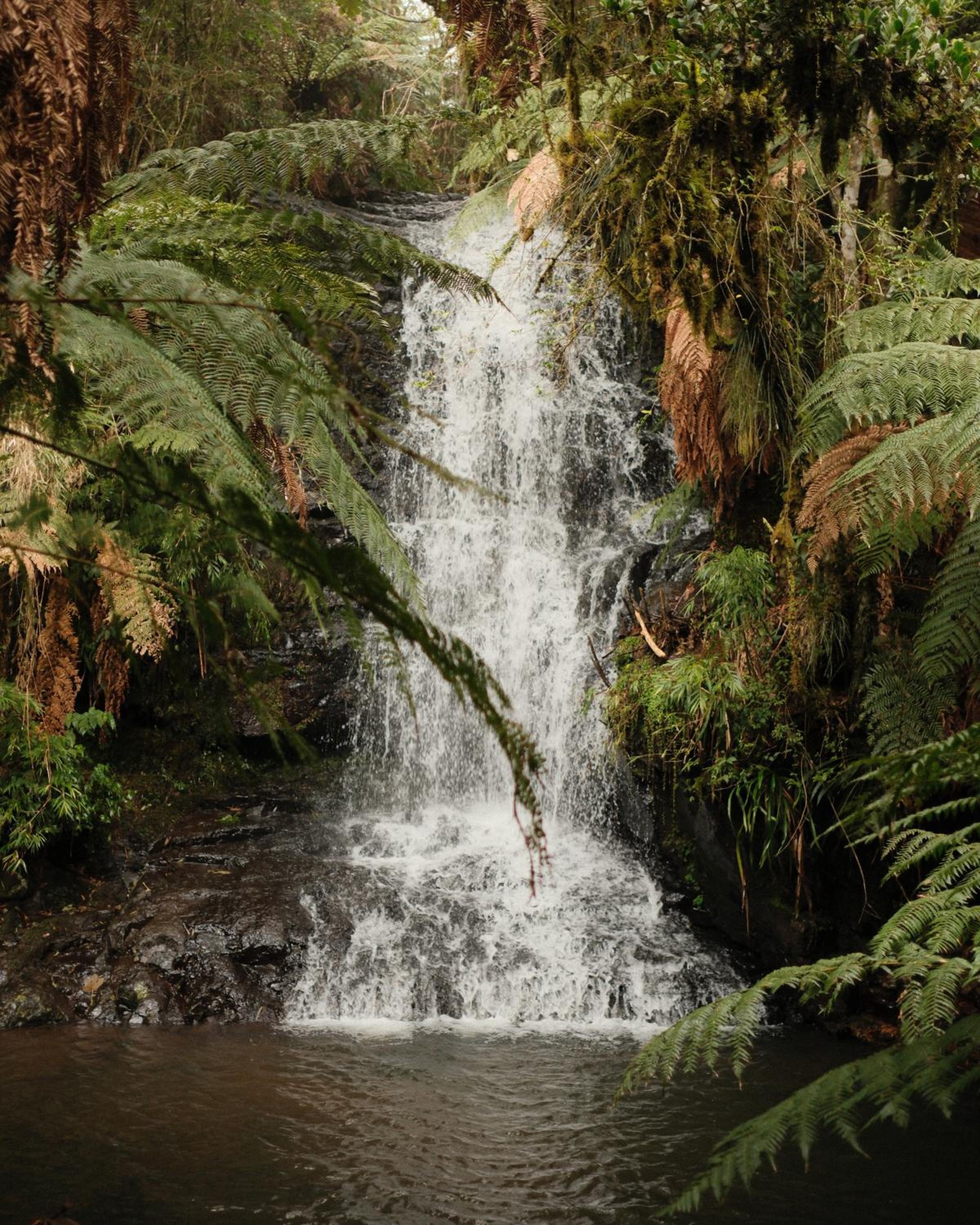 Parque Nacional EcoResort