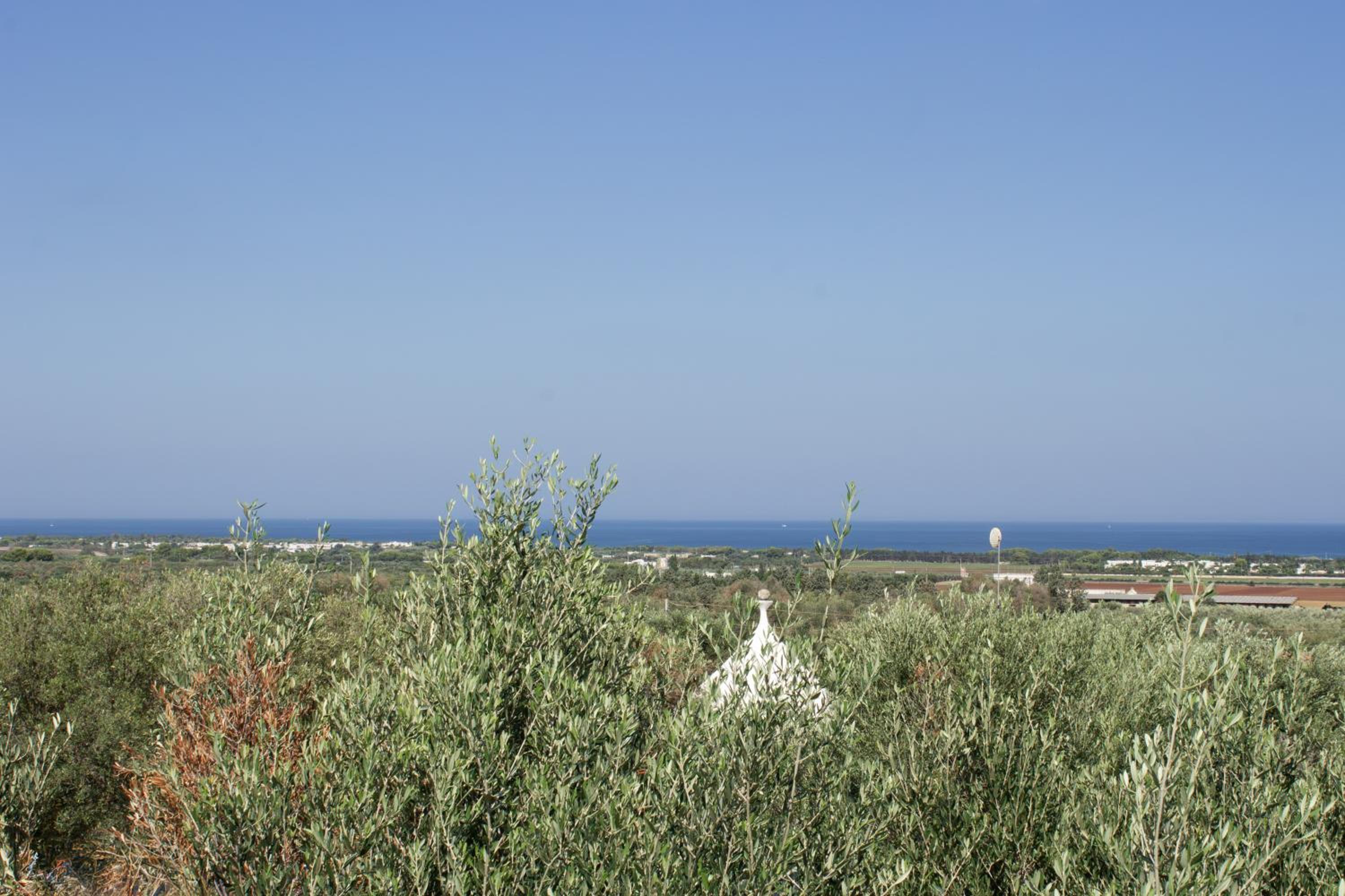 Dimora Flavia photo 3