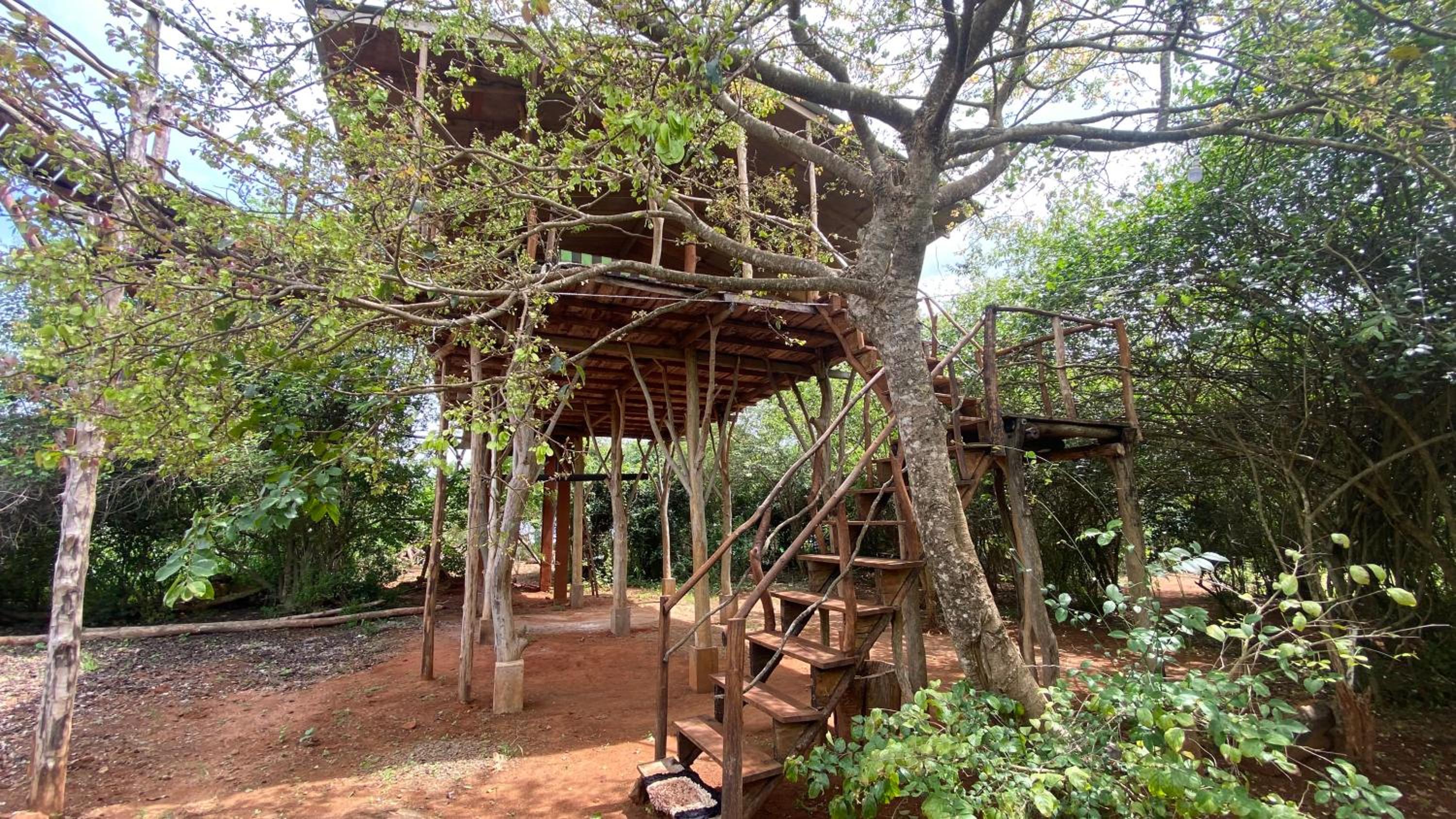 Fox Cabin Wilpattu view 3