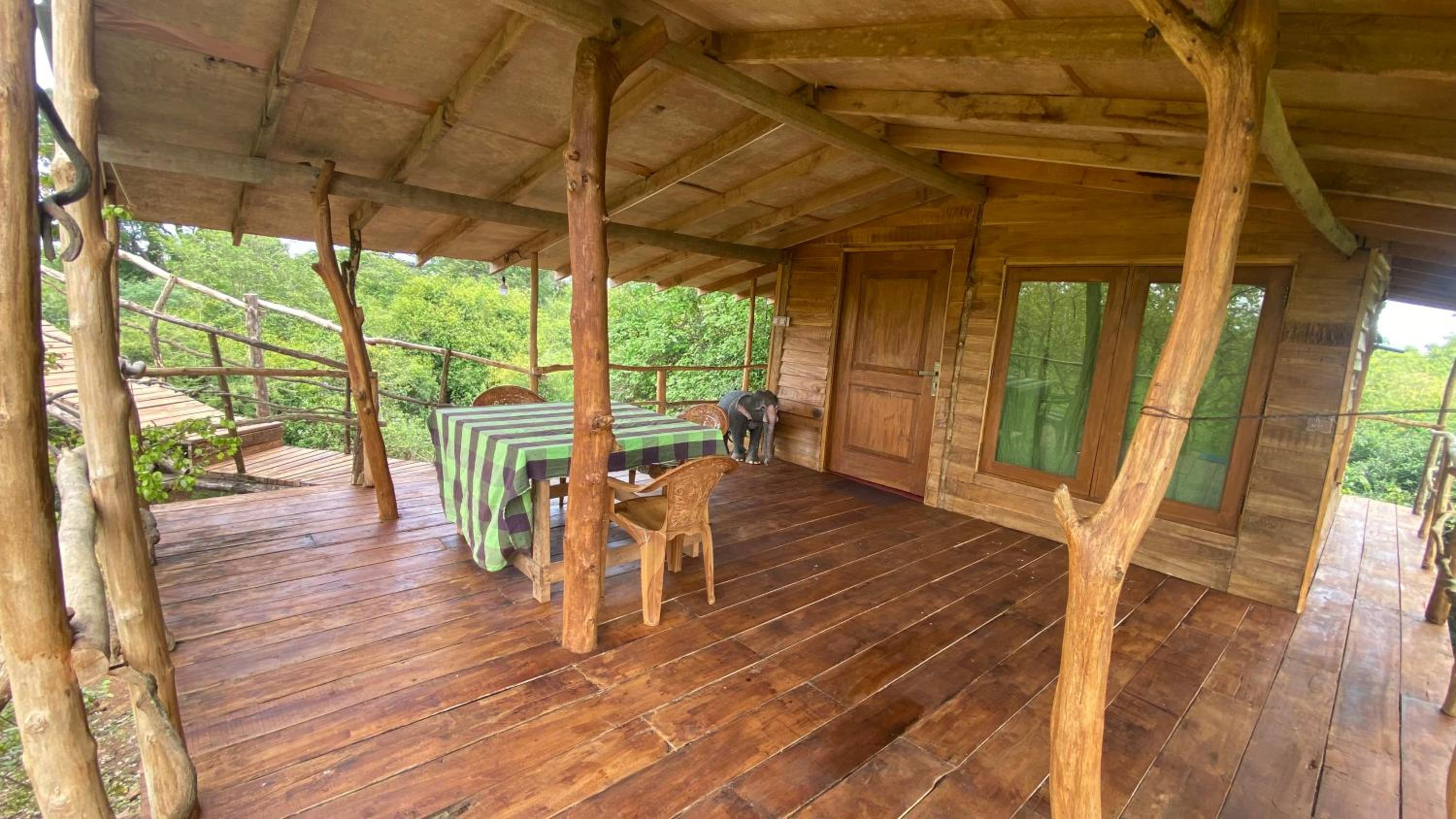 Fox Cabin Wilpattu view 4