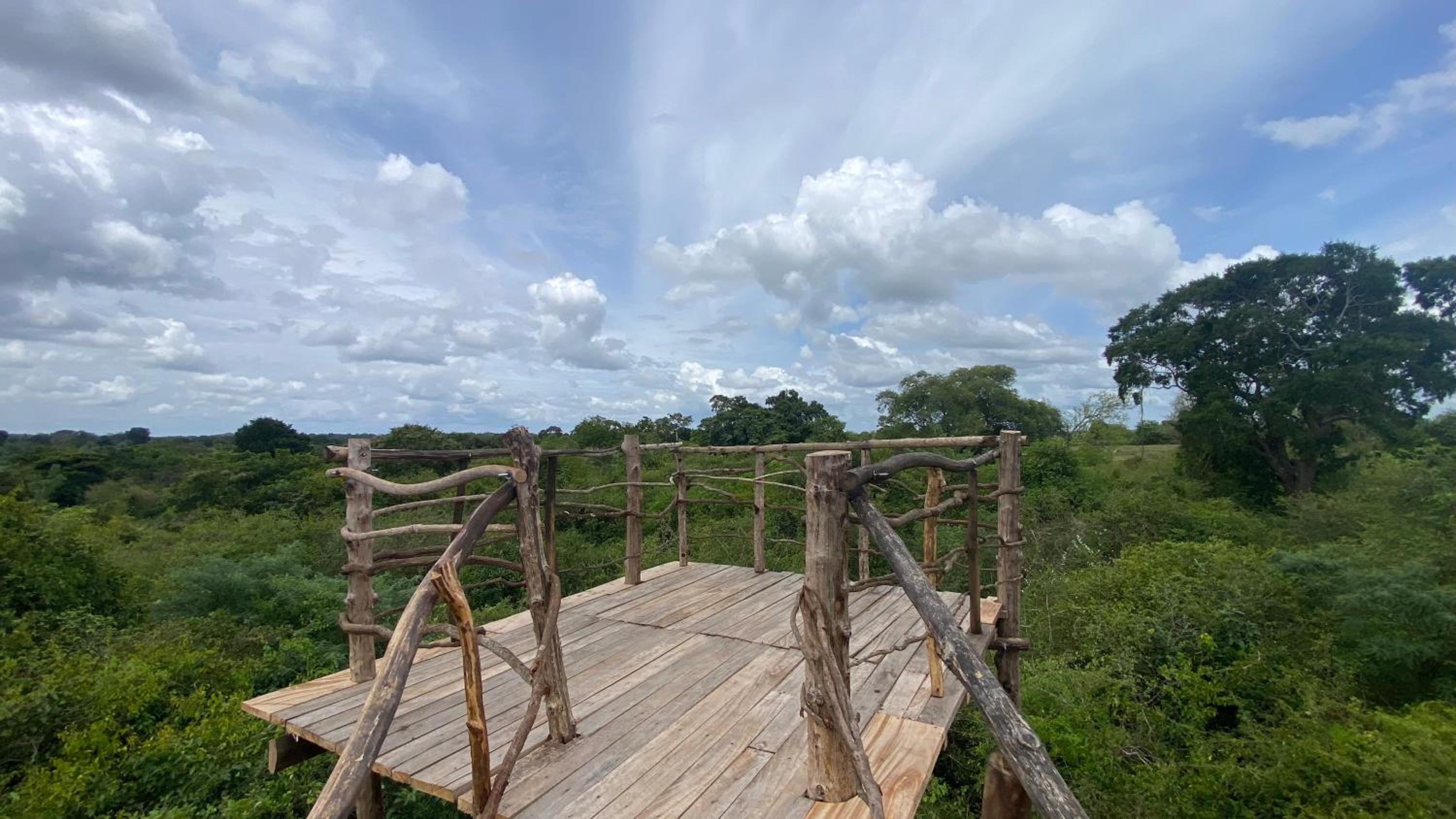 Fox Cabin Wilpattu view 5