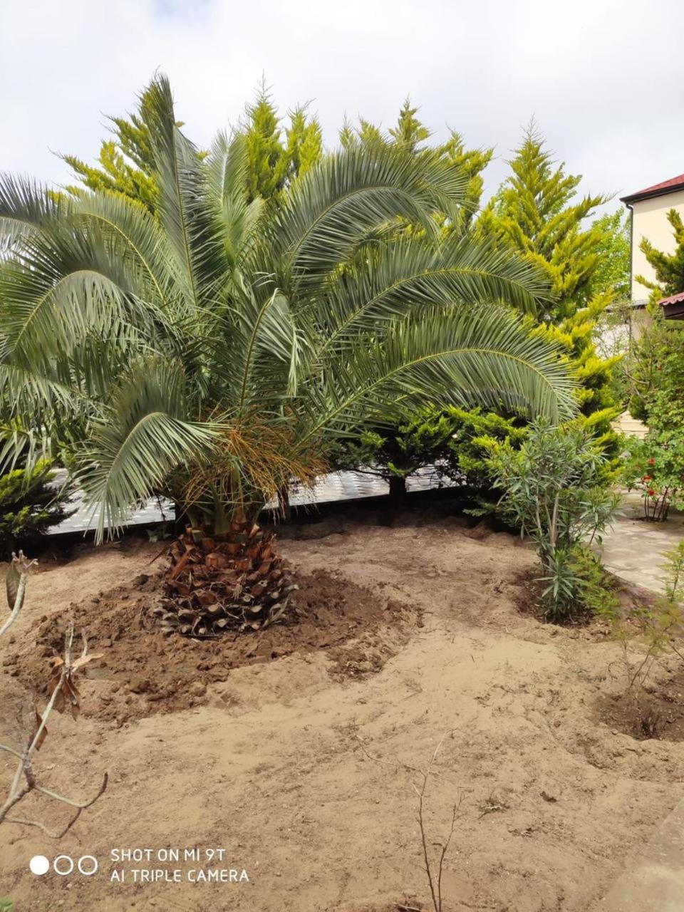 Mardakan Green Village