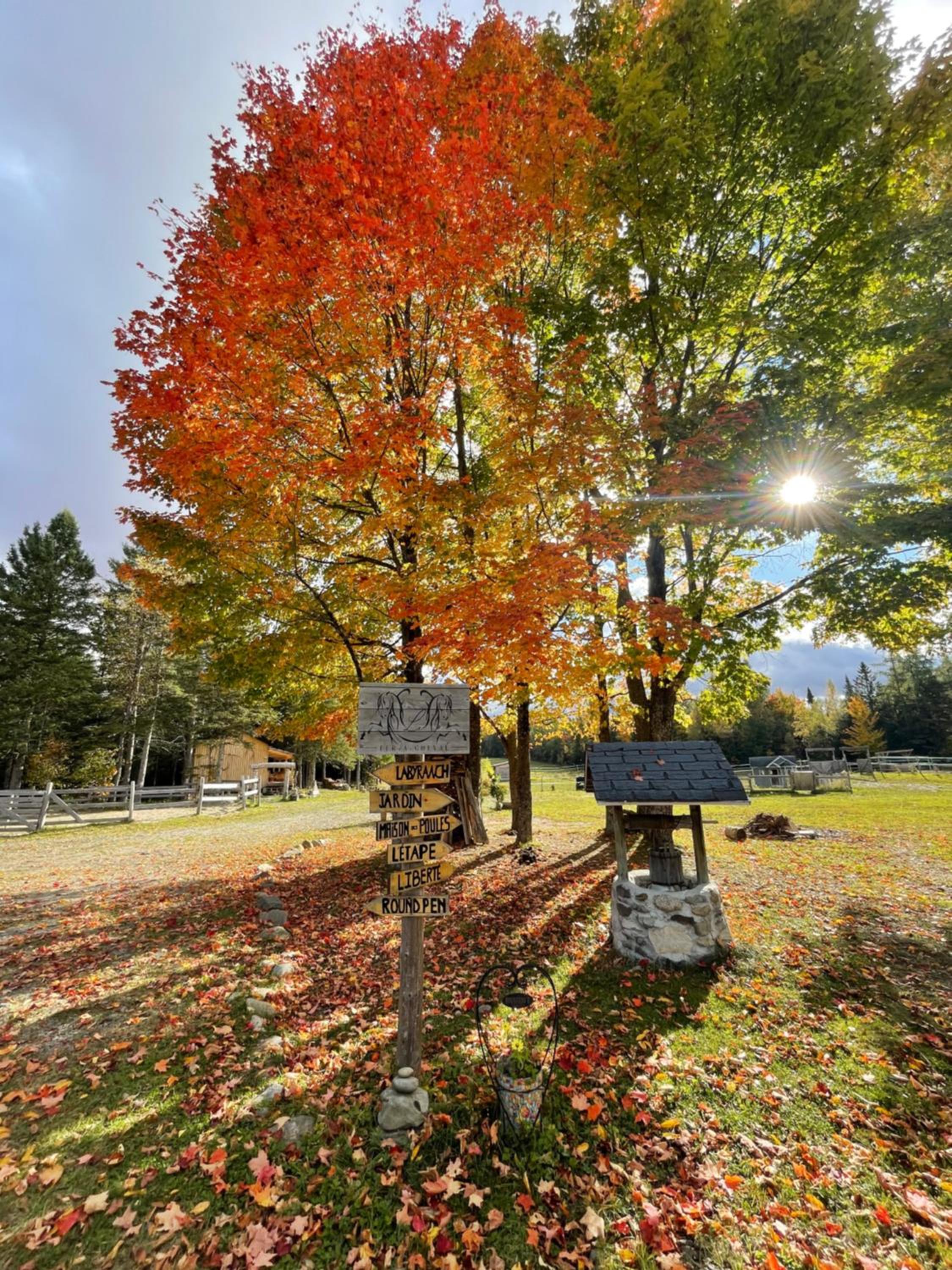 Mont Megantic - Chalet Le Madison