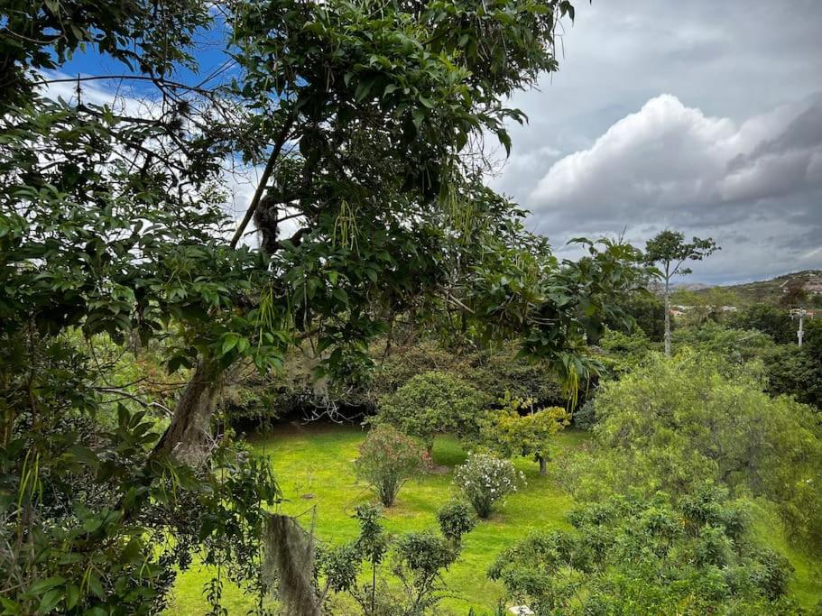 Hotel Aire Libre - Suite 7