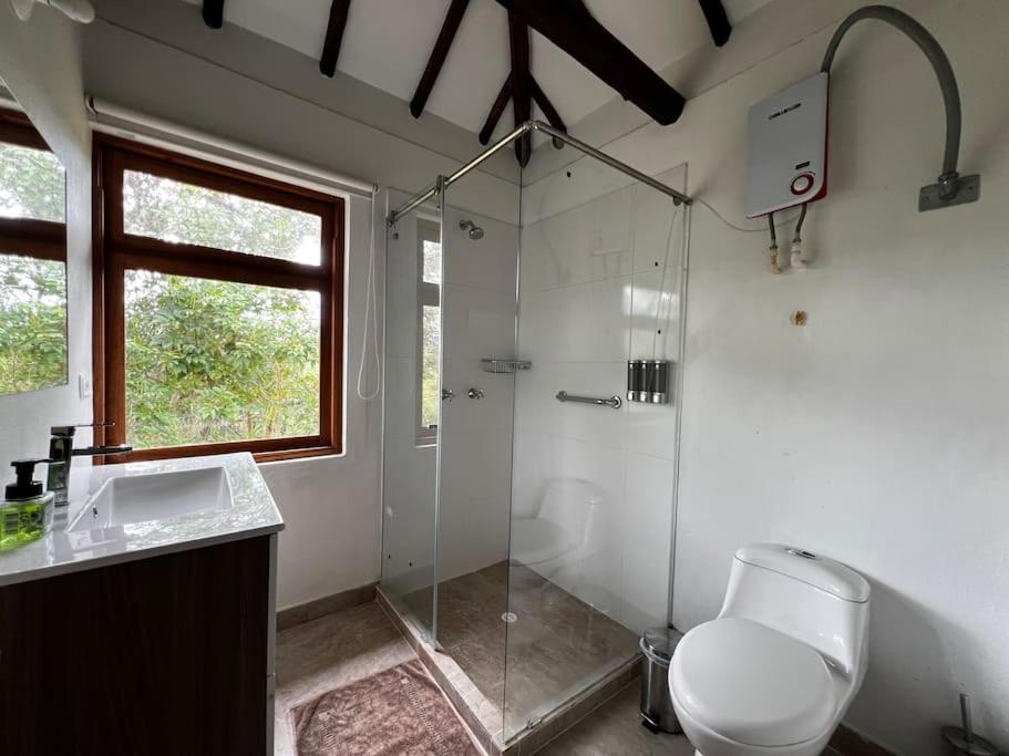 Hotel Aire Libre - Suite 7