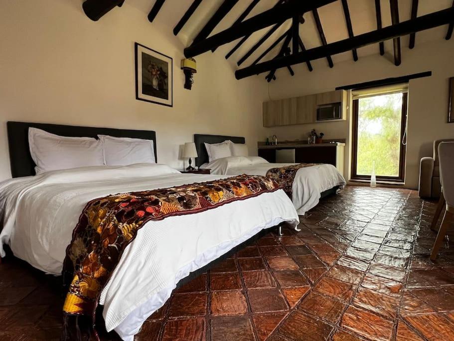 Hotel Aire Libre - Suite 7