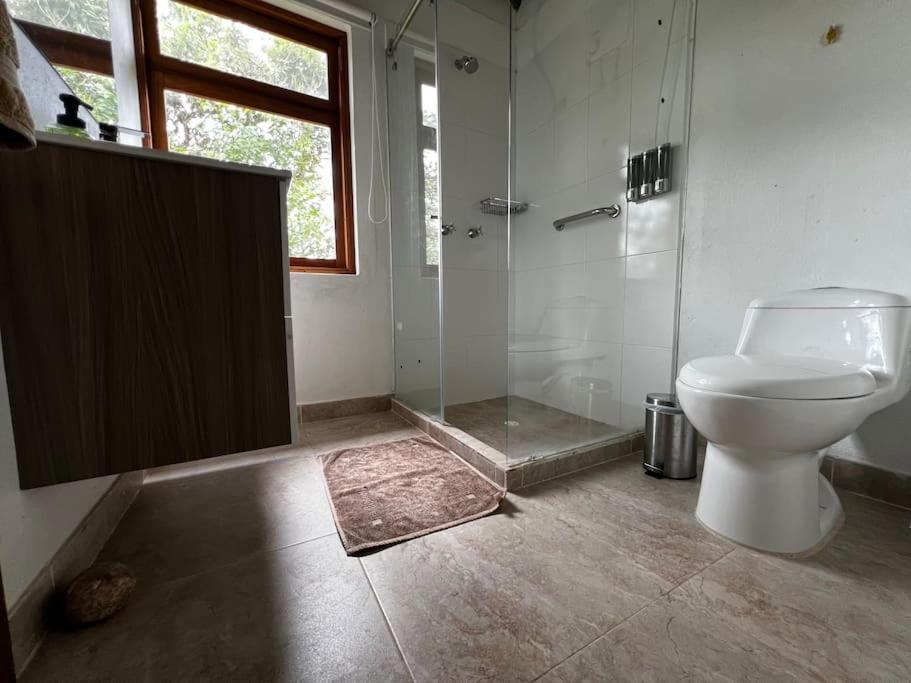 Hotel Aire Libre - Suite 7