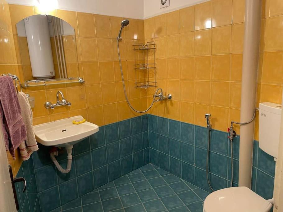 Luxurious flat - Pleven center