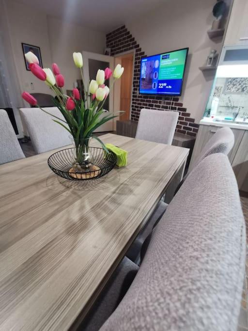 Luxurious flat - Pleven center