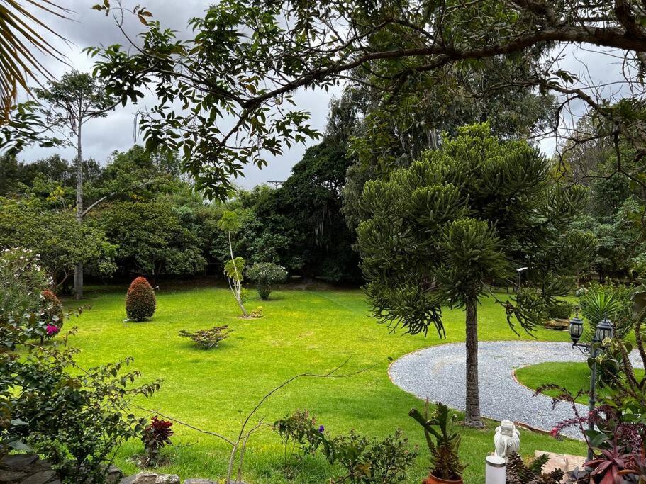 Hotel Aire Libre - Suite 9