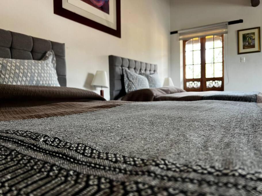Hotel Aire Libre - Suite 9
