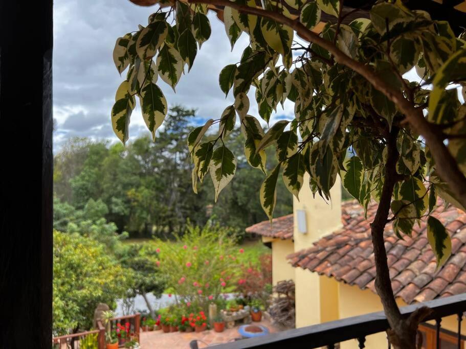 Hotel Aire Libre - Suite 9