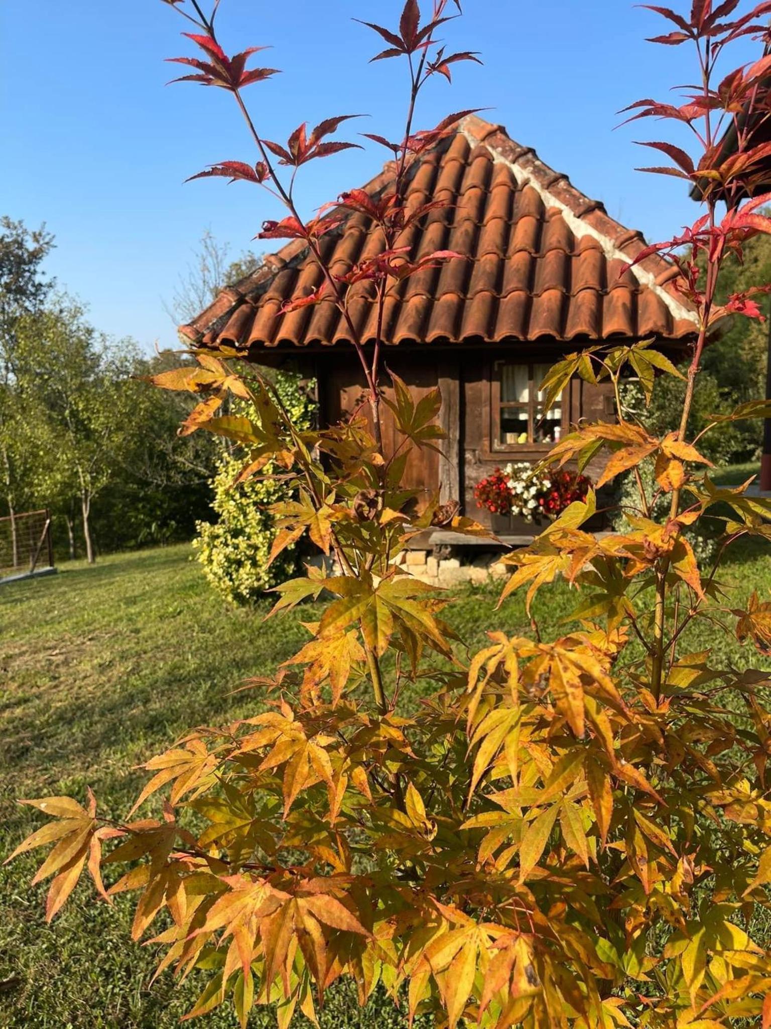 Villa Enigma
