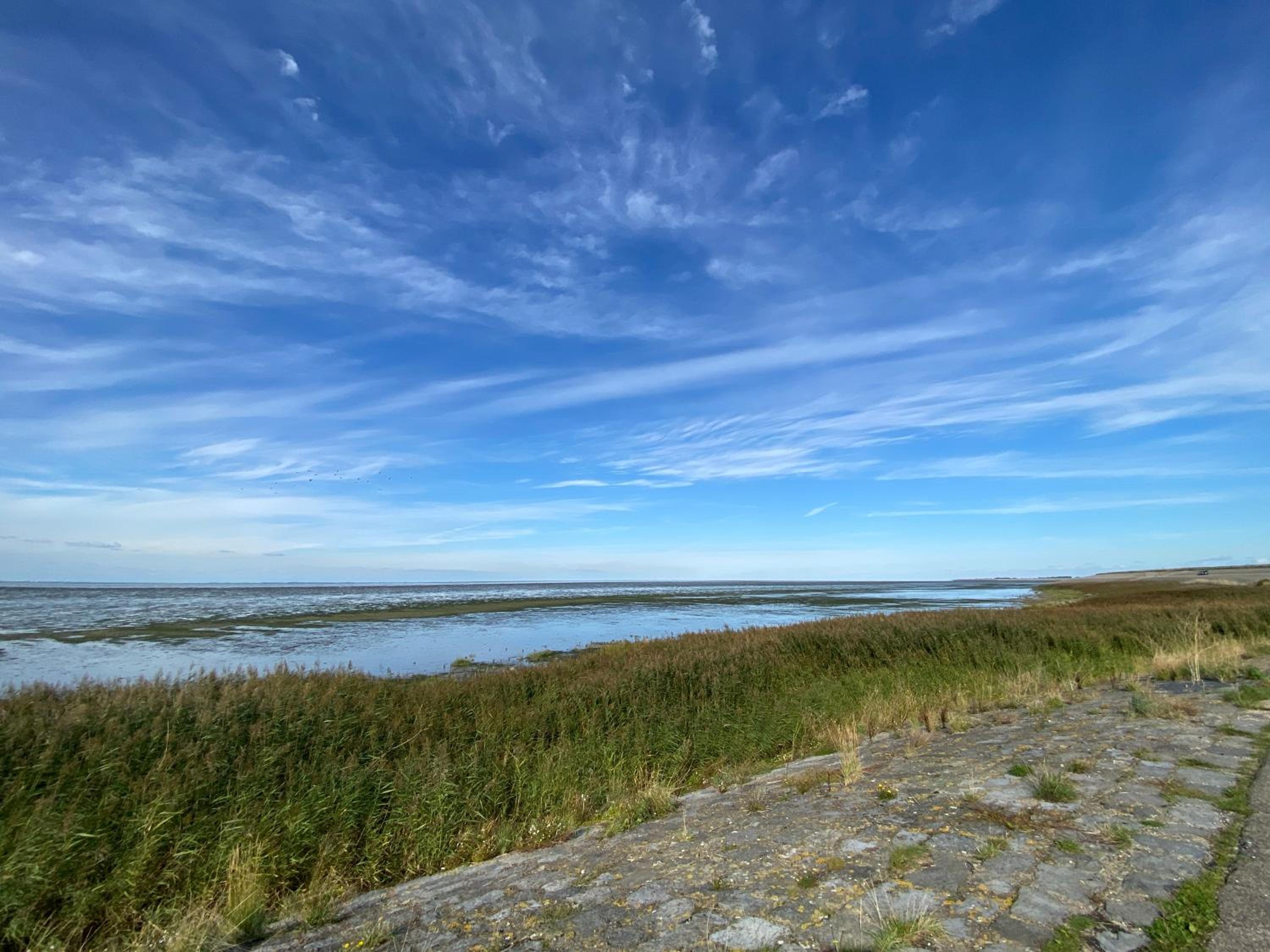 Wad Leuk view 3