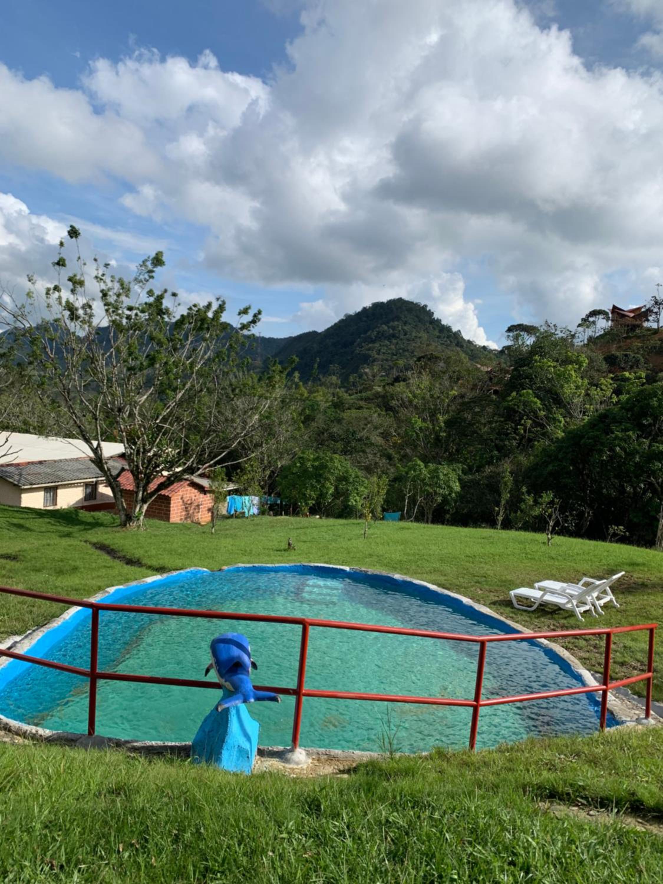 Finca Vereda La Tebaida