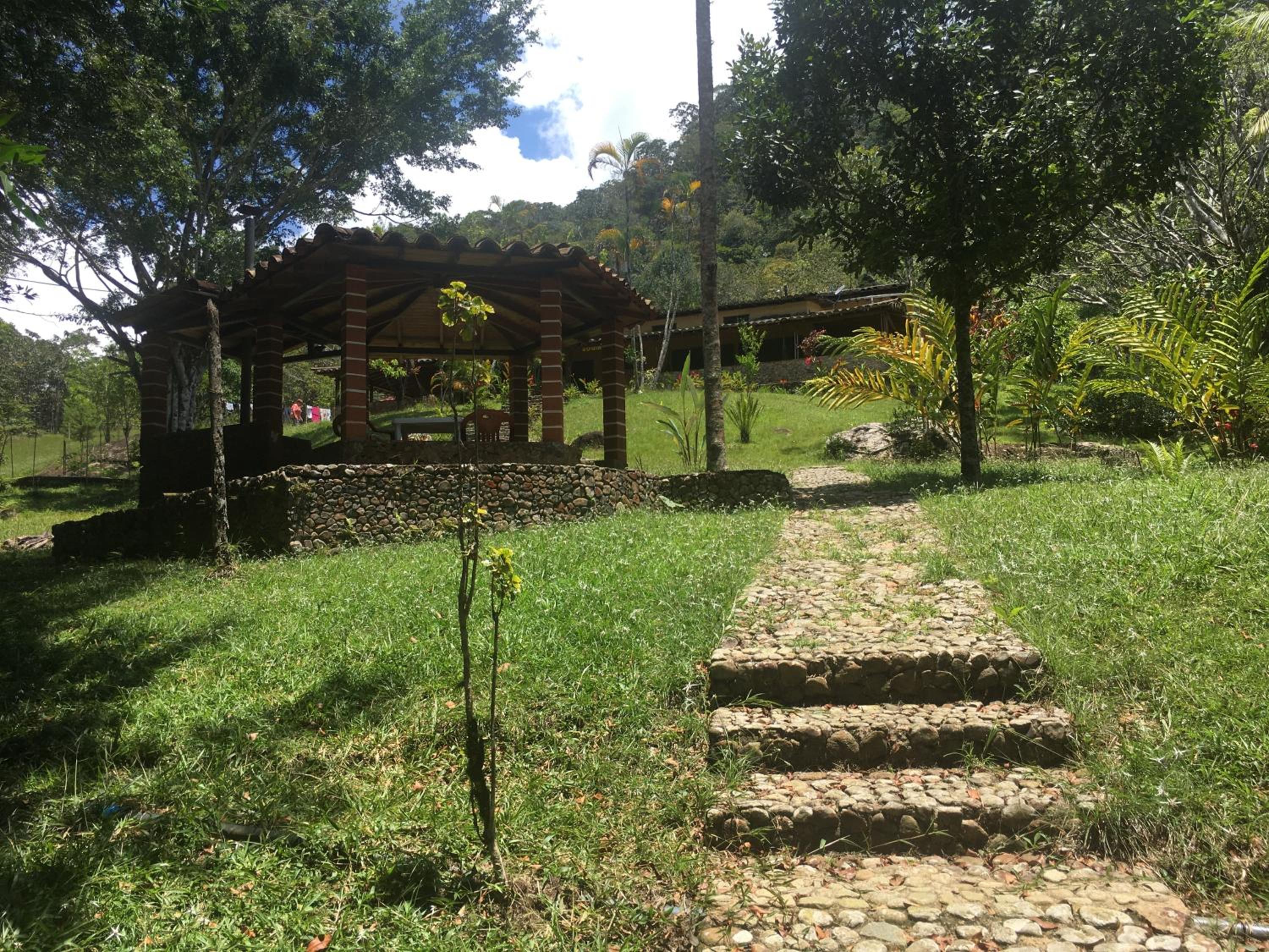Finca Vereda La Tebaida