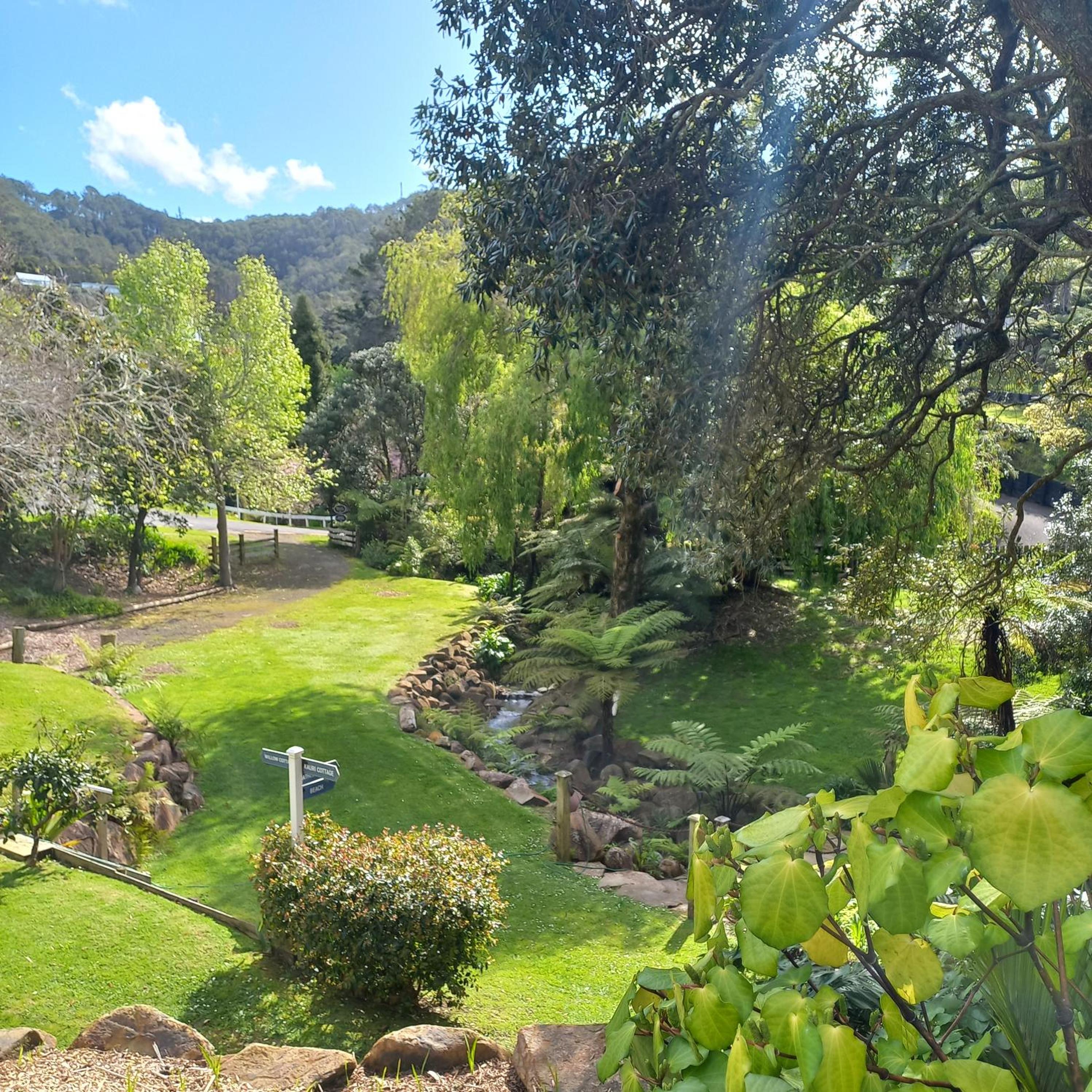 Hahei Cottages - Willow or Kauri view 3