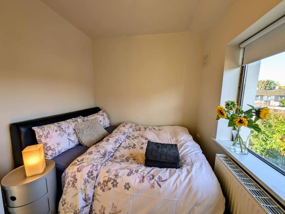 Fiona's Perfect Dublin Retreat
